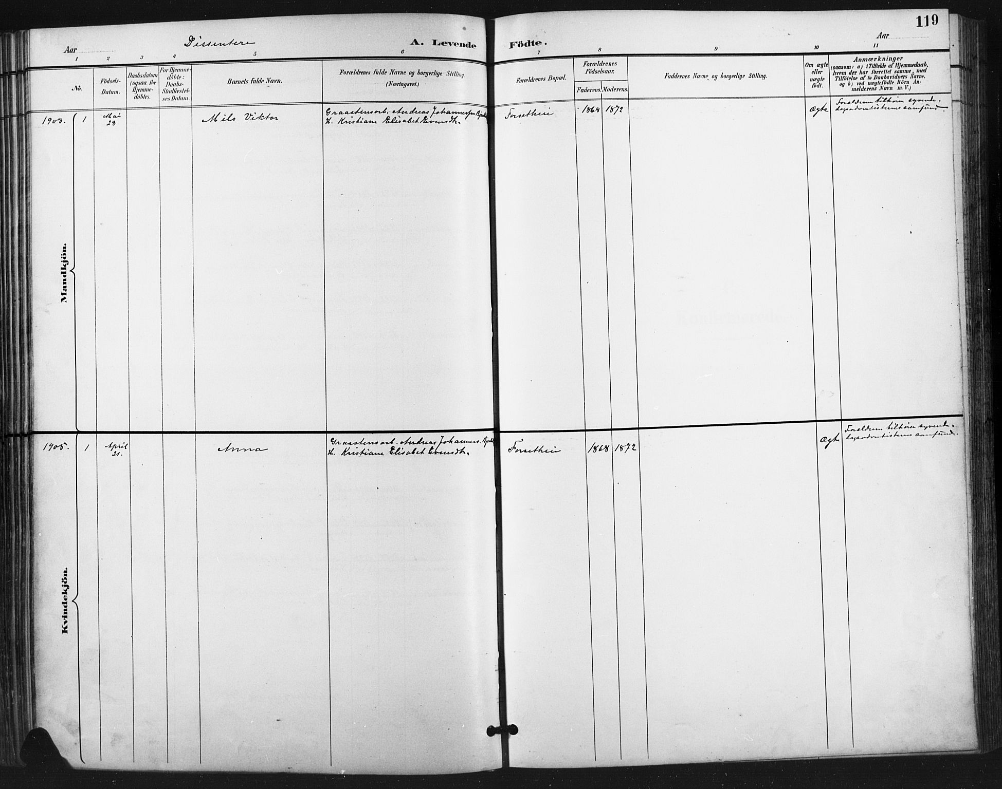 Vestre Gausdal prestekontor, SAH/PREST-094/H/Ha/Hab/L0003: Parish register (copy) no. 3, 1896-1925, p. 119