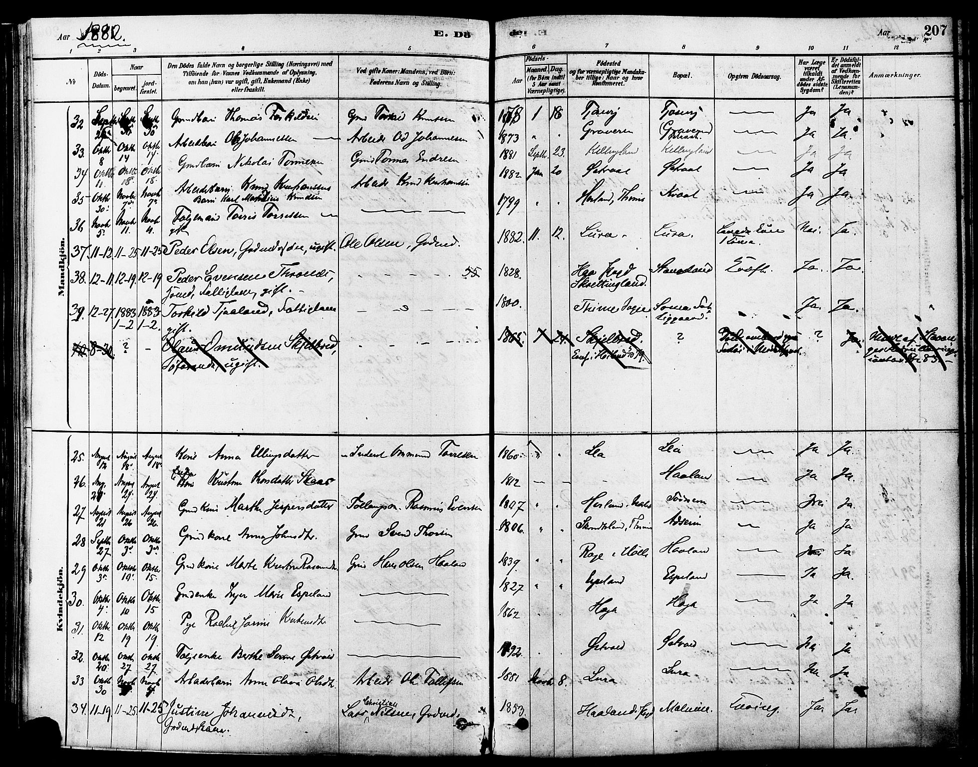 Høyland sokneprestkontor, AV/SAST-A-101799/001/30BA/L0011: Parish register (official) no. A 10, 1878-1888, p. 207