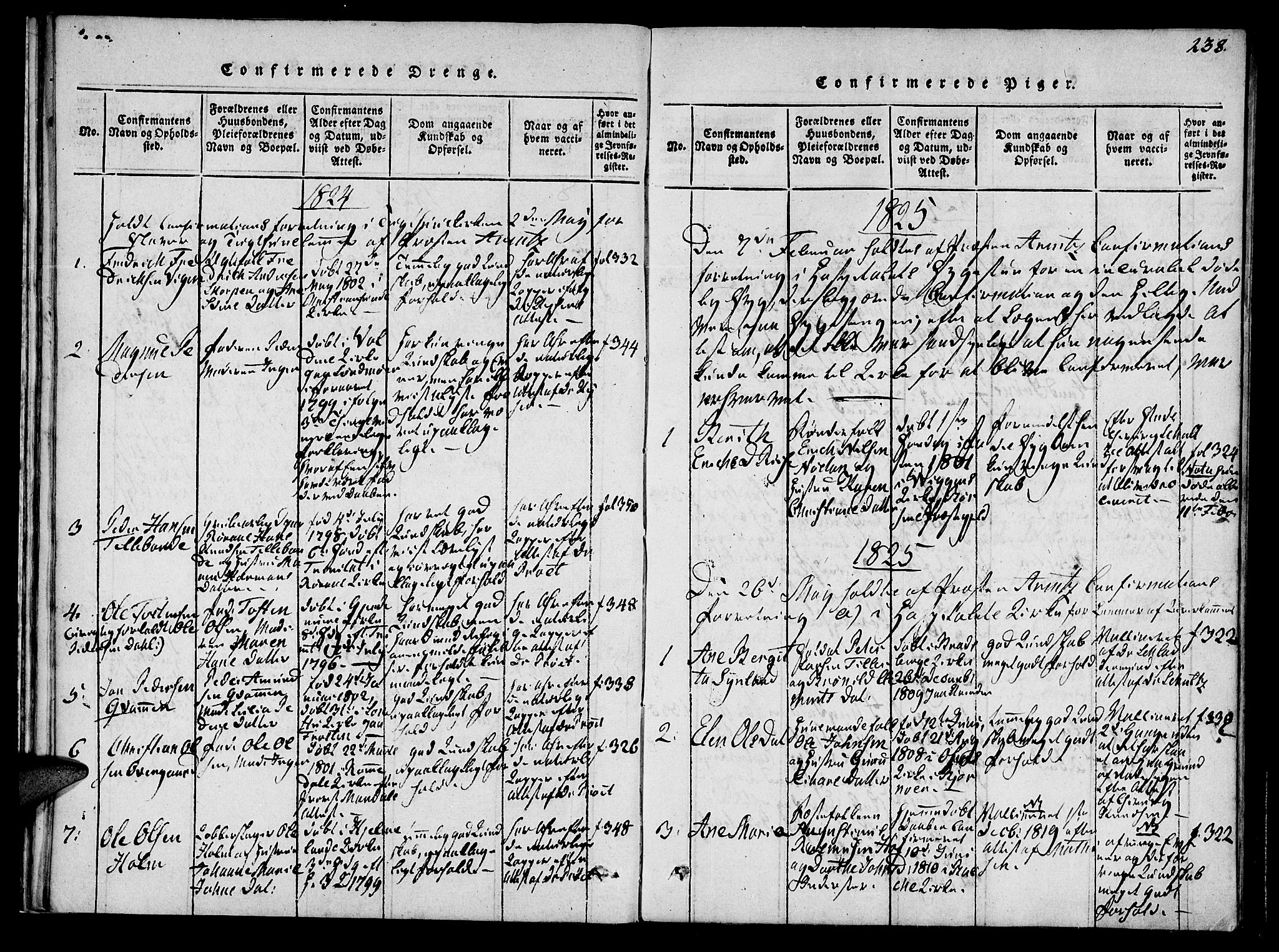 Ministerialprotokoller, klokkerbøker og fødselsregistre - Sør-Trøndelag, SAT/A-1456/623/L0467: Parish register (official) no. 623A01, 1815-1825, p. 238