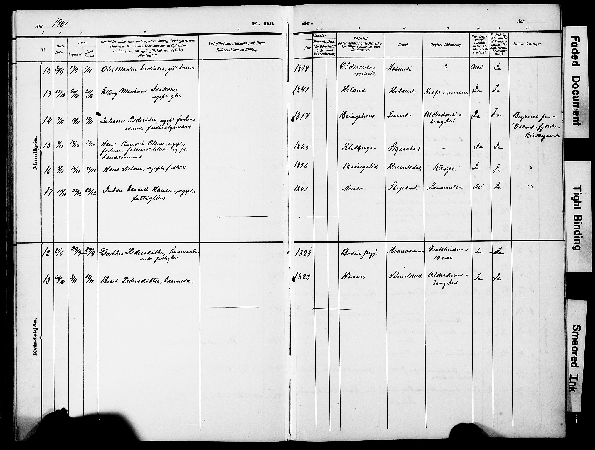 Ministerialprotokoller, klokkerbøker og fødselsregistre - Nordland, SAT/A-1459/852/L0755: Parish register (copy) no. 852C06, 1895-1902