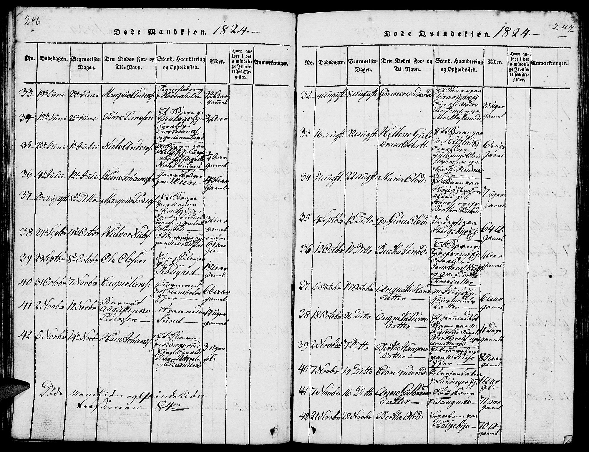 Nes prestekontor, Hedmark, AV/SAH-PREST-020/L/La/L0003: Parish register (copy) no. 3, 1814-1831, p. 246-247