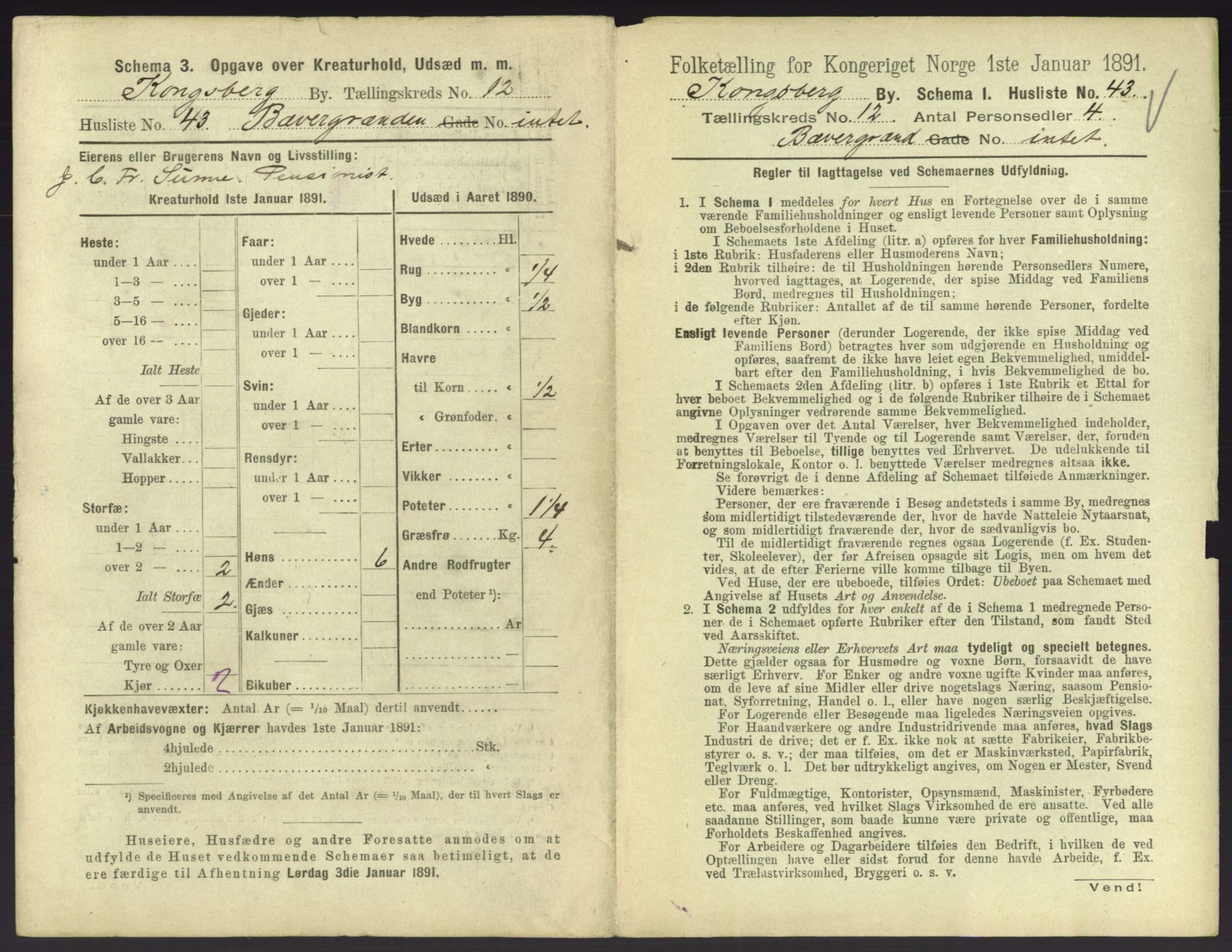 RA, 1891 census for 0604 Kongsberg, 1891, p. 1589