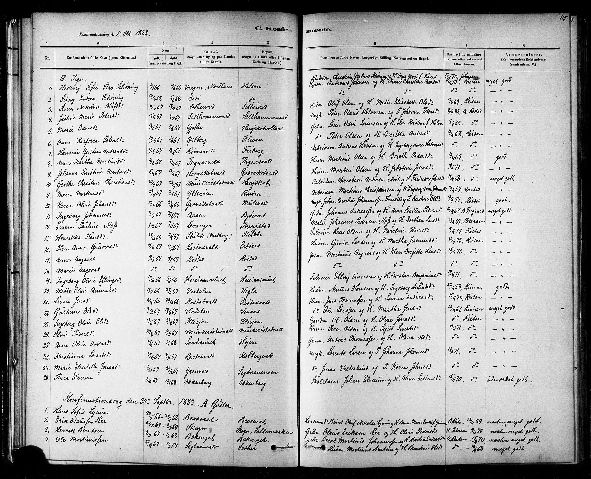 Ministerialprotokoller, klokkerbøker og fødselsregistre - Nord-Trøndelag, SAT/A-1458/721/L0208: Parish register (copy) no. 721C01, 1880-1917, p. 115