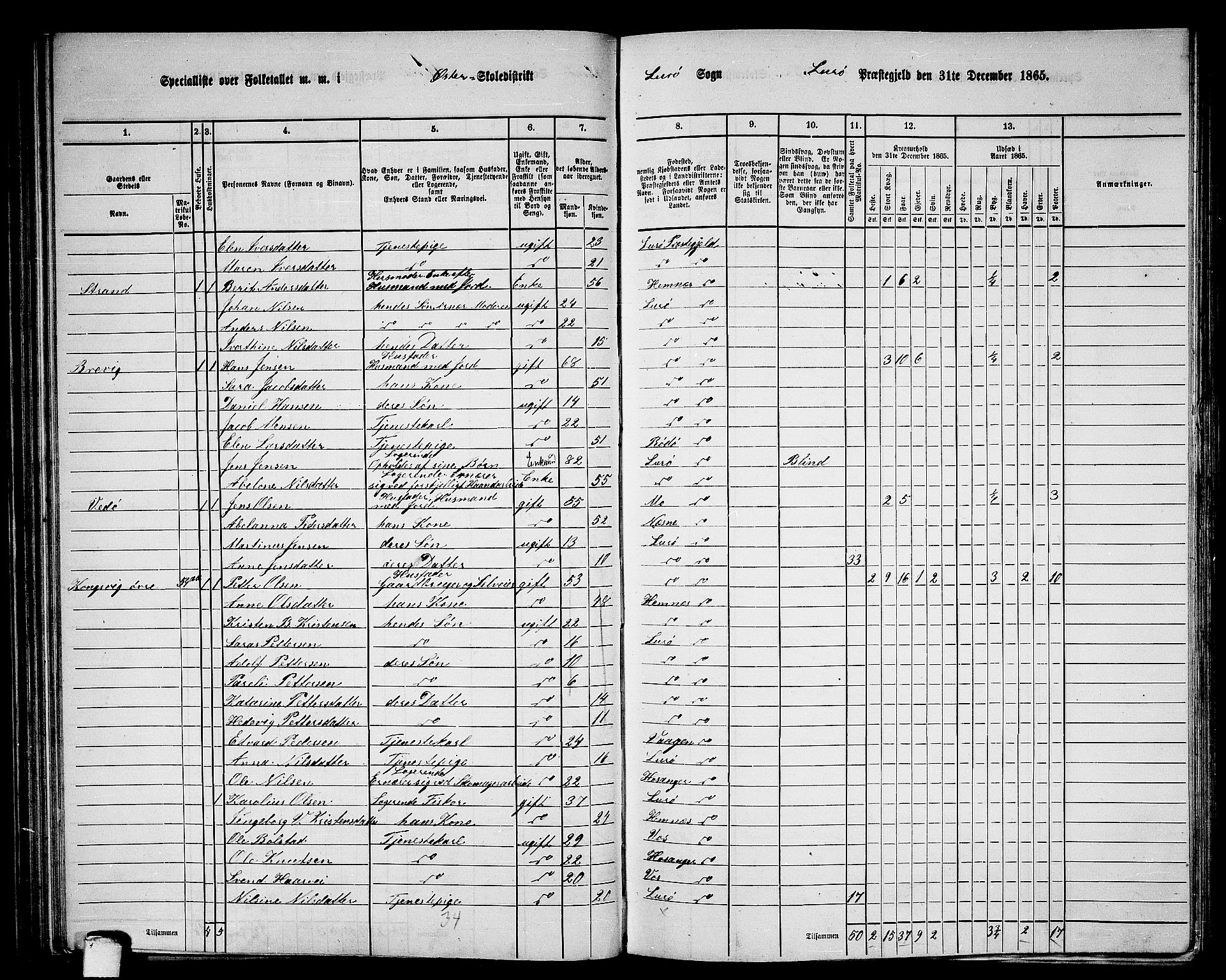 RA, 1865 census for Lurøy, 1865, p. 67