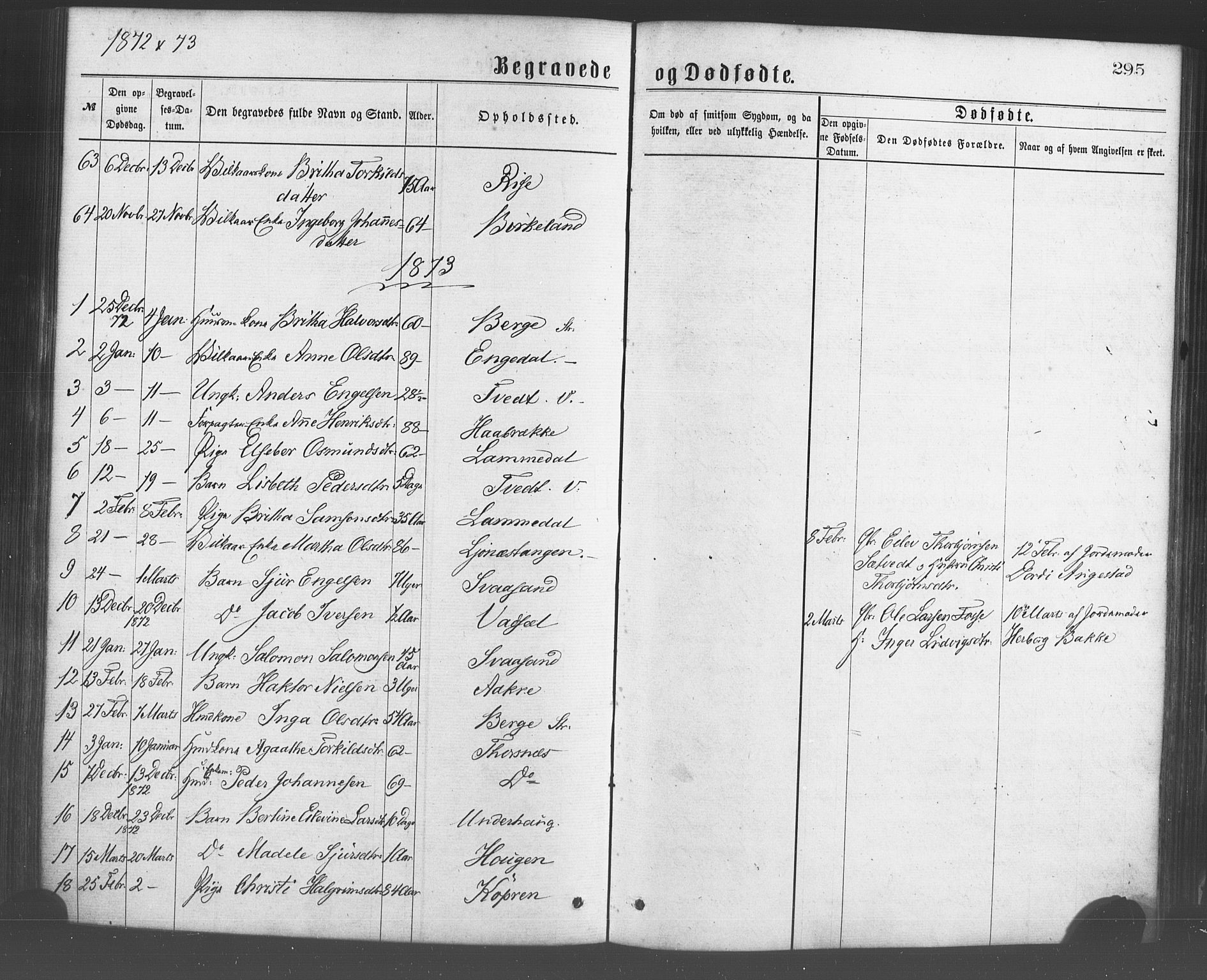 Strandebarm sokneprestembete, SAB/A-78401/H/Haa: Parish register (official) no. A 9, 1872-1886, p. 295