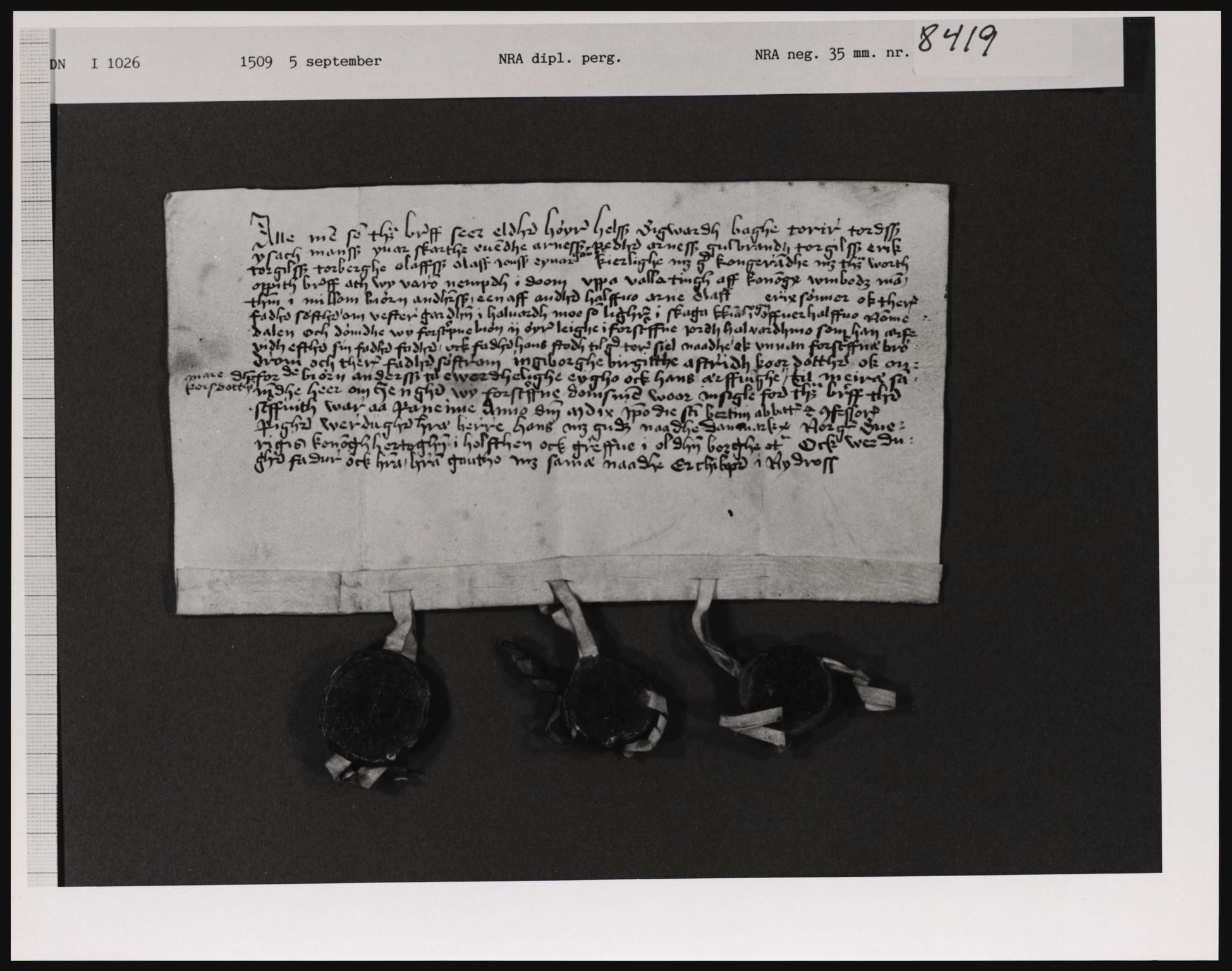 Riksarkivets diplomsamling, AV/RA-EA-5965/F01, 1333-1571, p. 5658