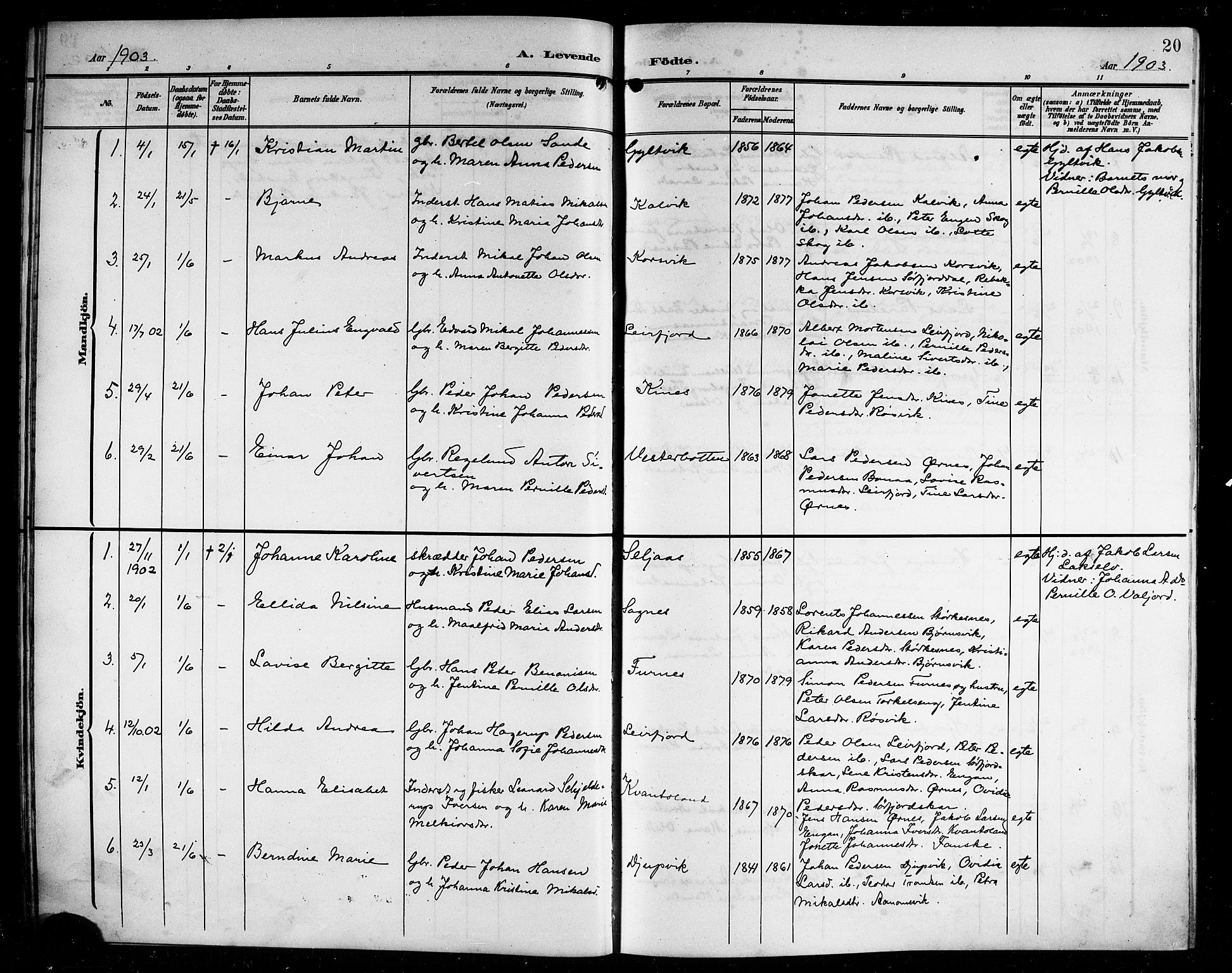 Ministerialprotokoller, klokkerbøker og fødselsregistre - Nordland, AV/SAT-A-1459/854/L0786: Parish register (copy) no. 854C02, 1901-1912, p. 20