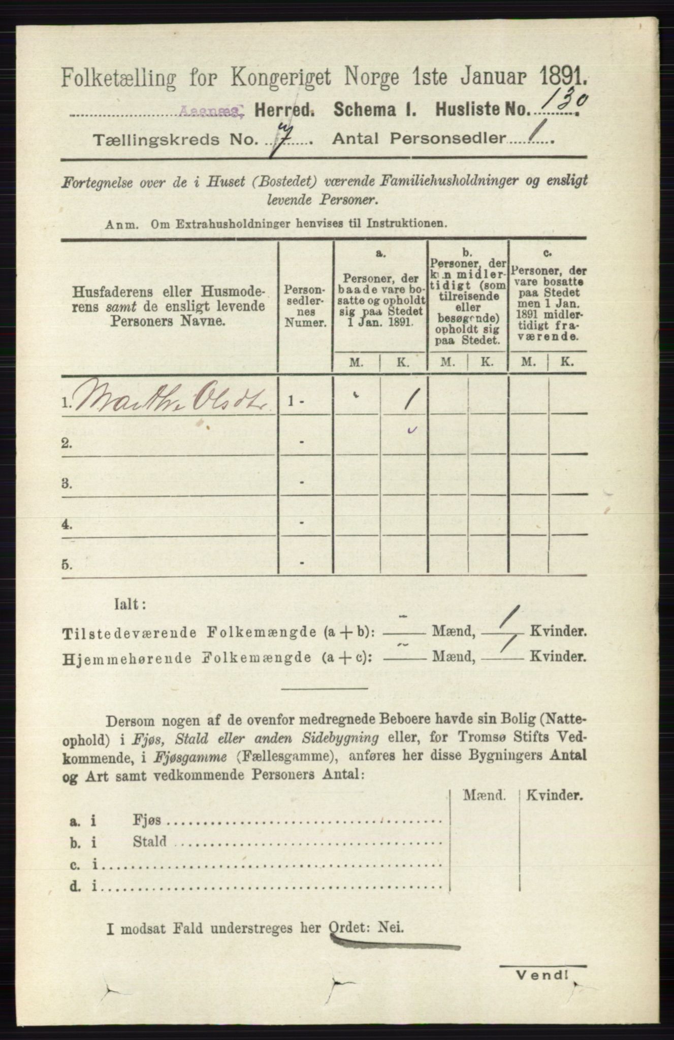 RA, 1891 census for 0425 Åsnes, 1891, p. 3366