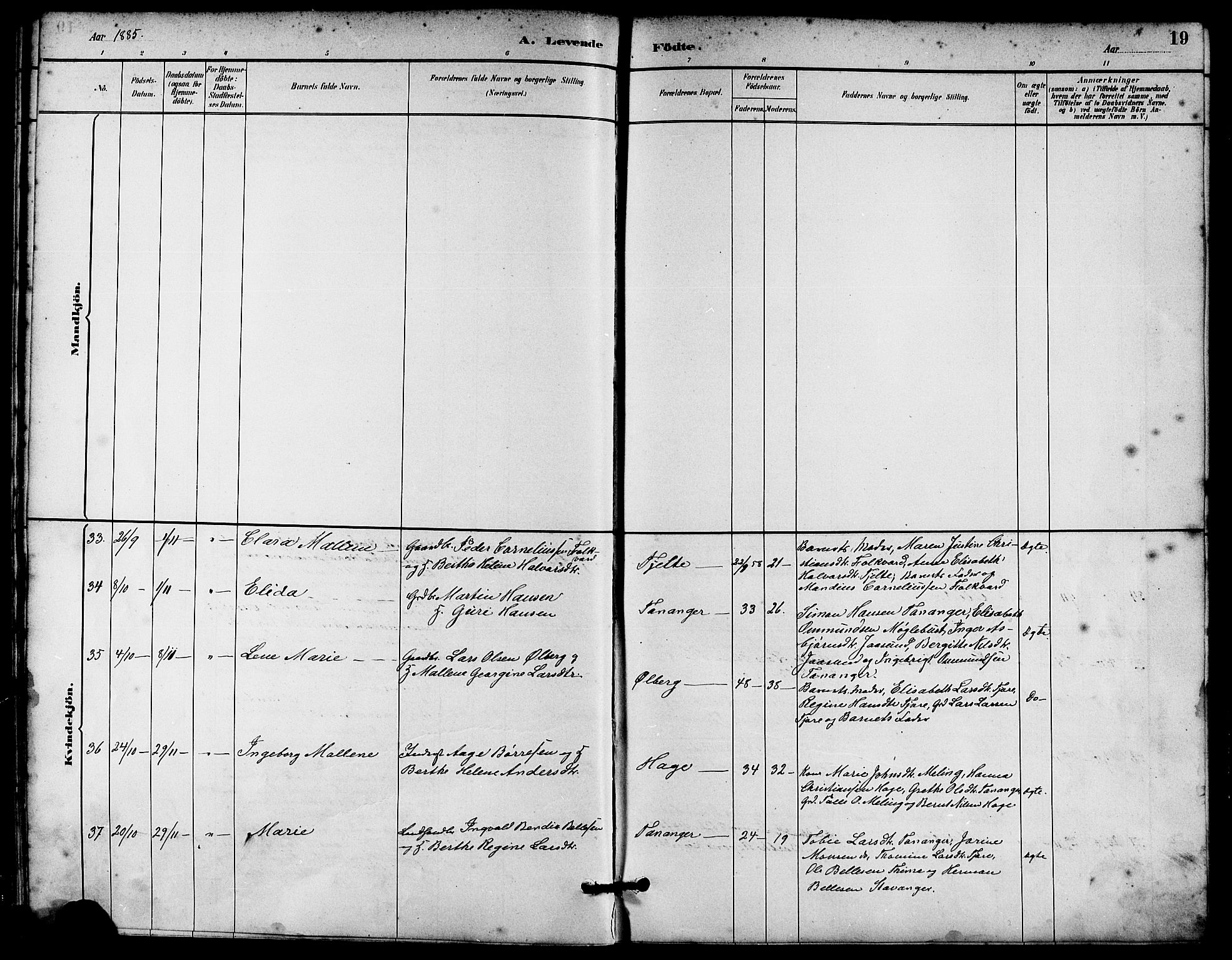 Håland sokneprestkontor, AV/SAST-A-101802/001/30BA/L0010: Parish register (official) no. A 9, 1883-1888, p. 19