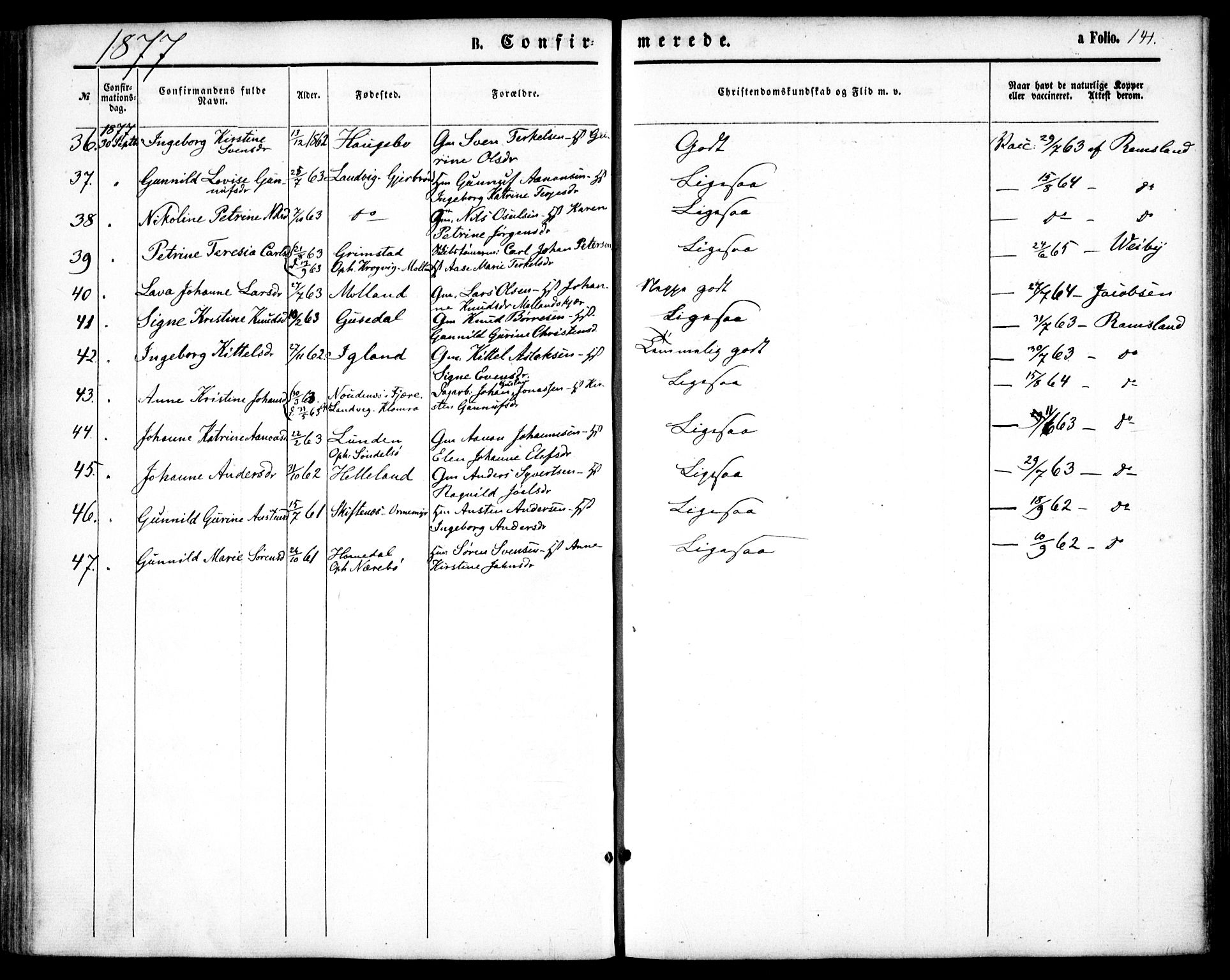 Hommedal sokneprestkontor, AV/SAK-1111-0023/F/Fa/Fab/L0005: Parish register (official) no. A 5, 1861-1877, p. 141