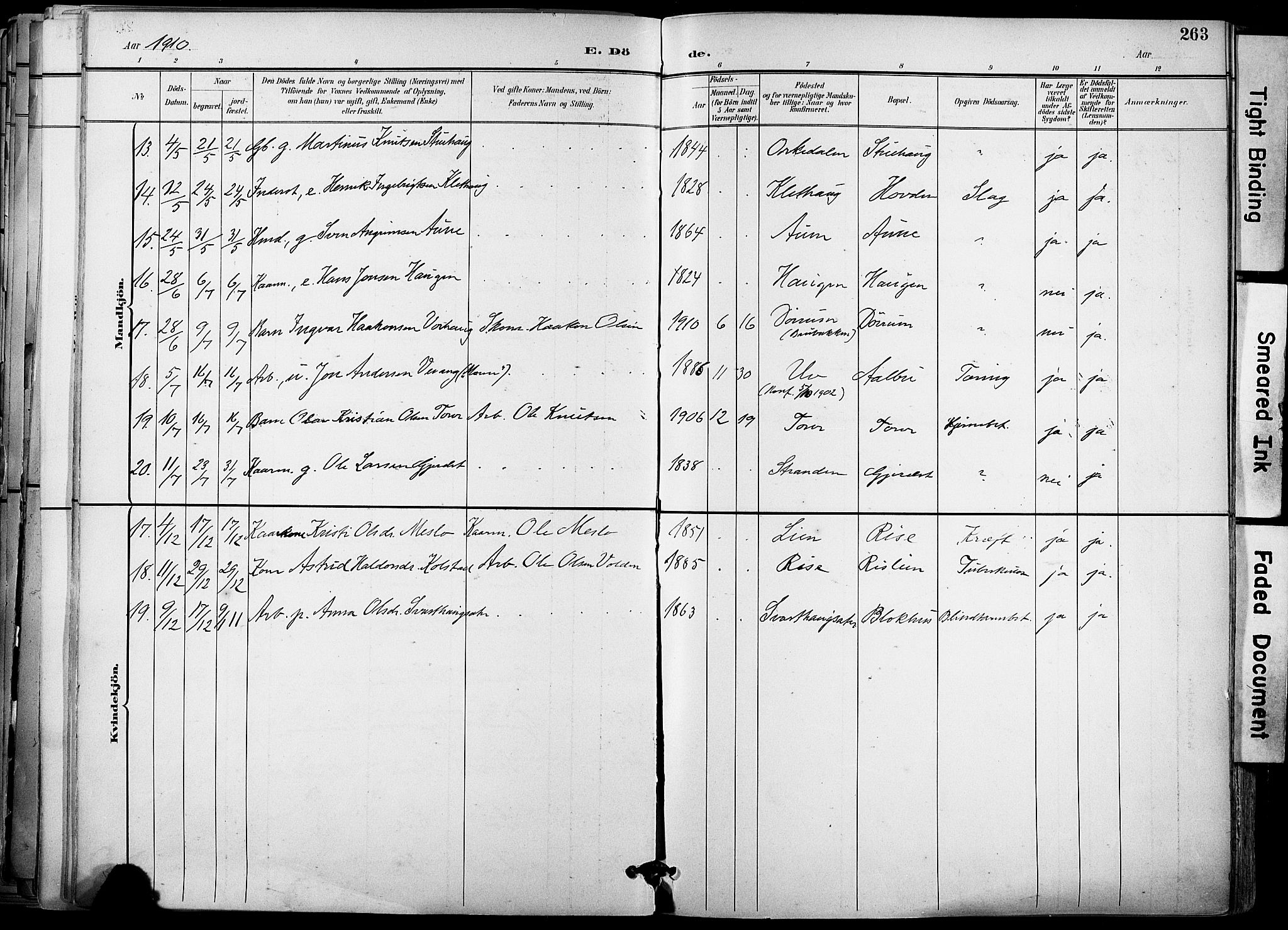 Ministerialprotokoller, klokkerbøker og fødselsregistre - Sør-Trøndelag, AV/SAT-A-1456/678/L0902: Parish register (official) no. 678A11, 1895-1911, p. 263