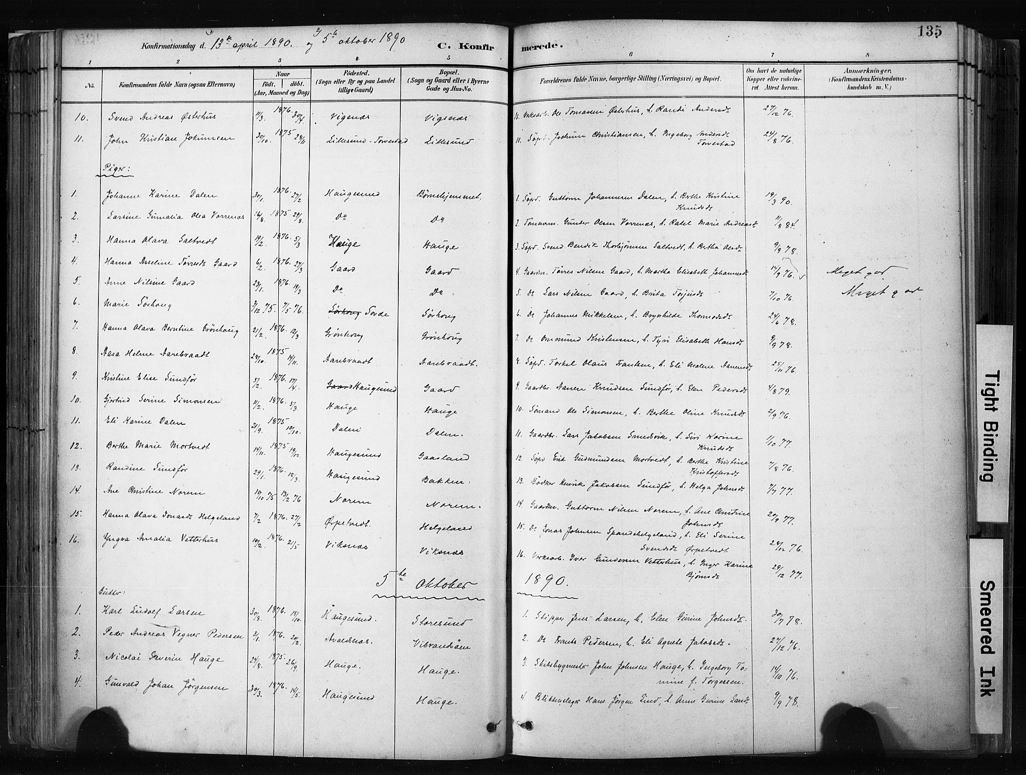 Haugesund sokneprestkontor, SAST/A -101863/H/Ha/Haa/L0004: Parish register (official) no. A 4, 1886-1908, p. 135