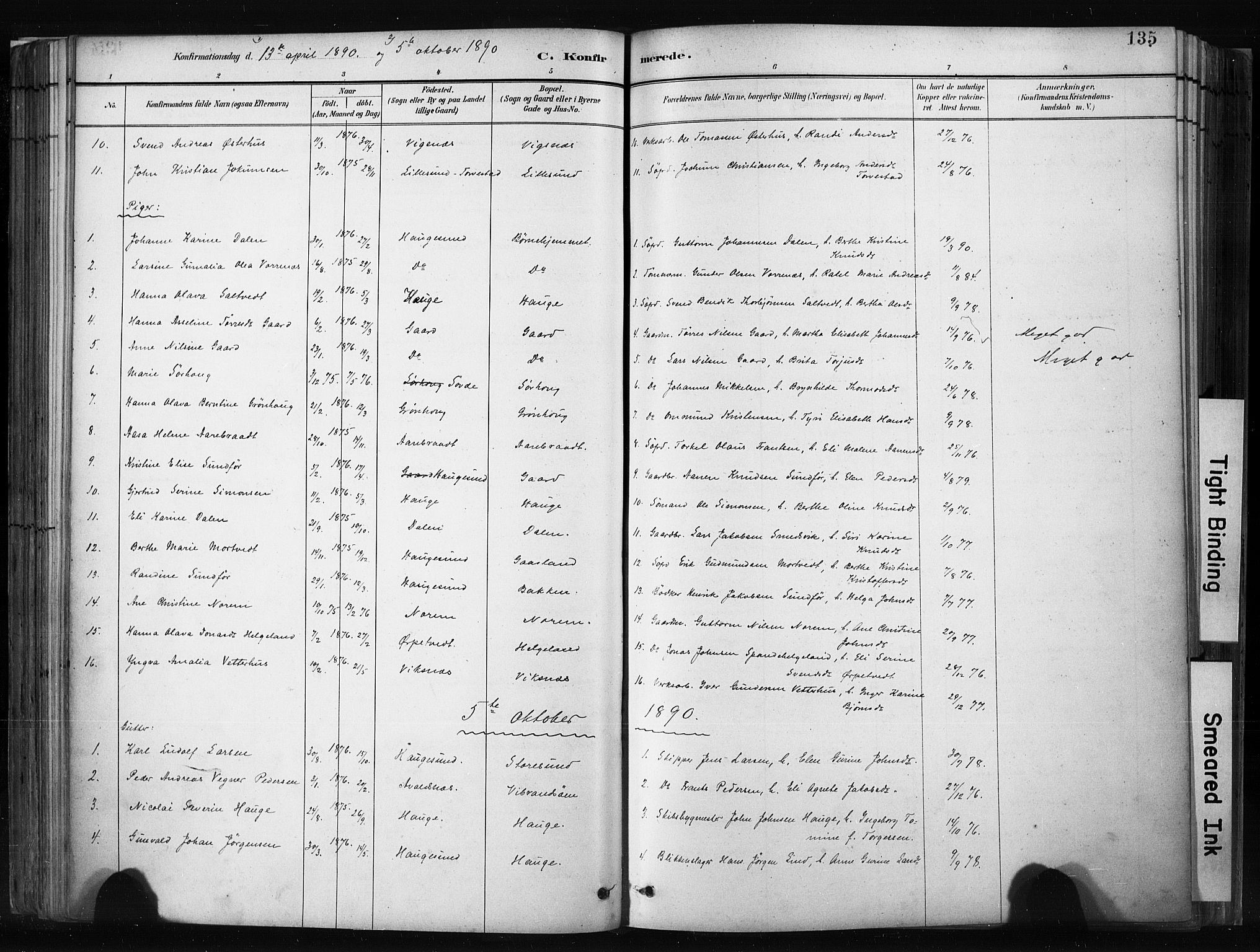 Haugesund sokneprestkontor, AV/SAST-A -101863/H/Ha/Haa/L0004: Parish register (official) no. A 4, 1886-1908, p. 135