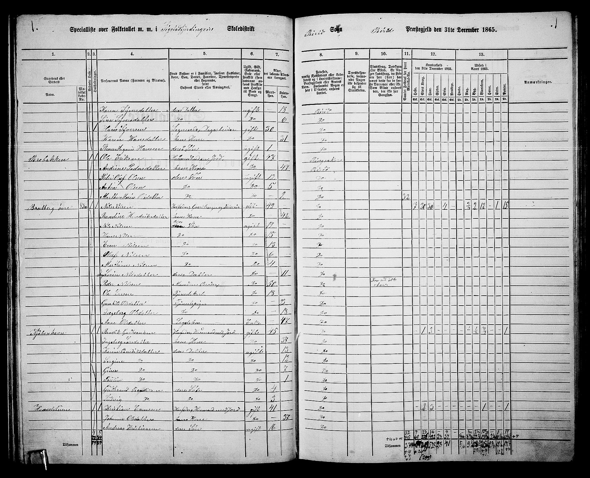 RA, 1865 census for Biri, 1865, p. 79