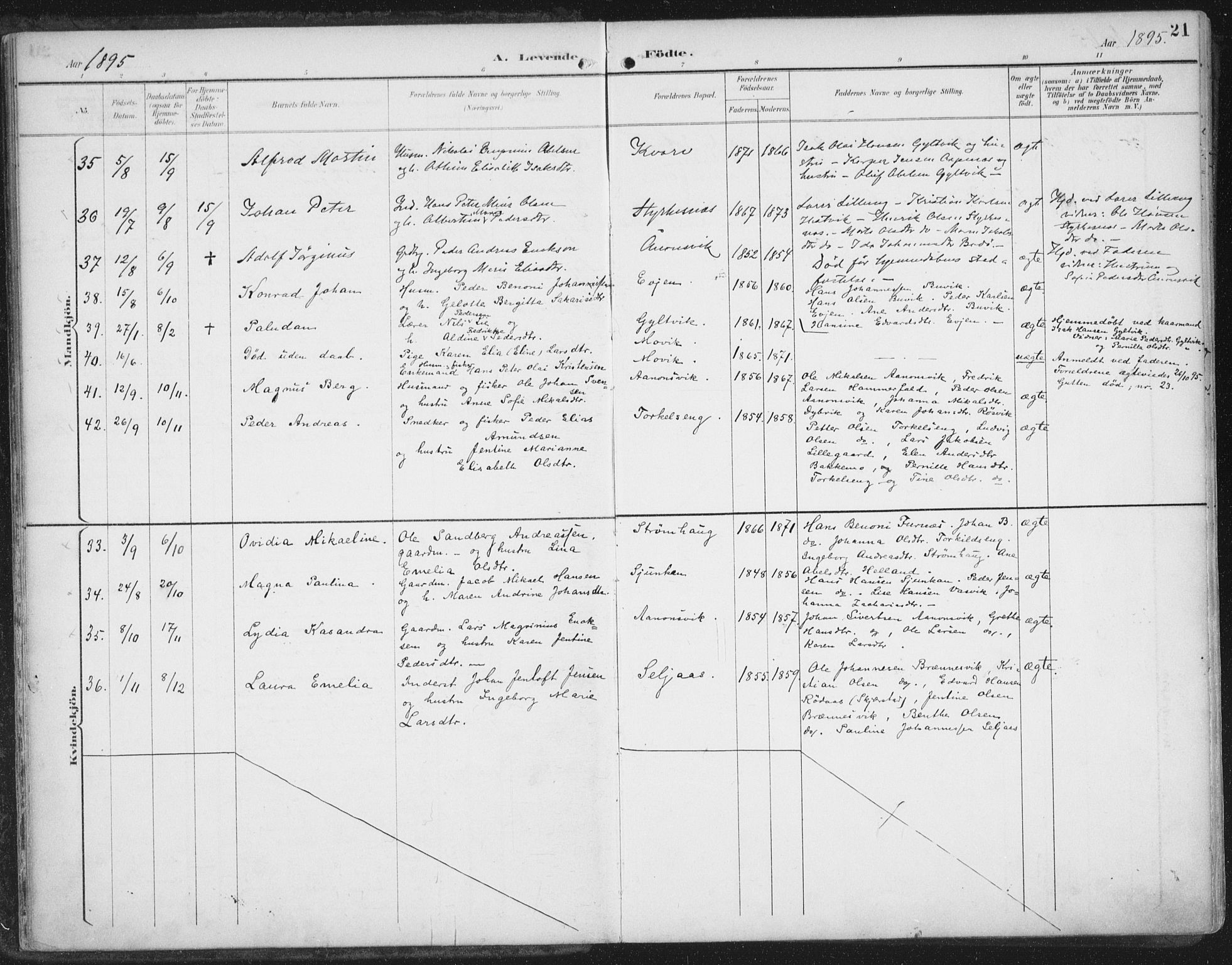 Ministerialprotokoller, klokkerbøker og fødselsregistre - Nordland, SAT/A-1459/854/L0779: Parish register (official) no. 854A02, 1892-1909, p. 21
