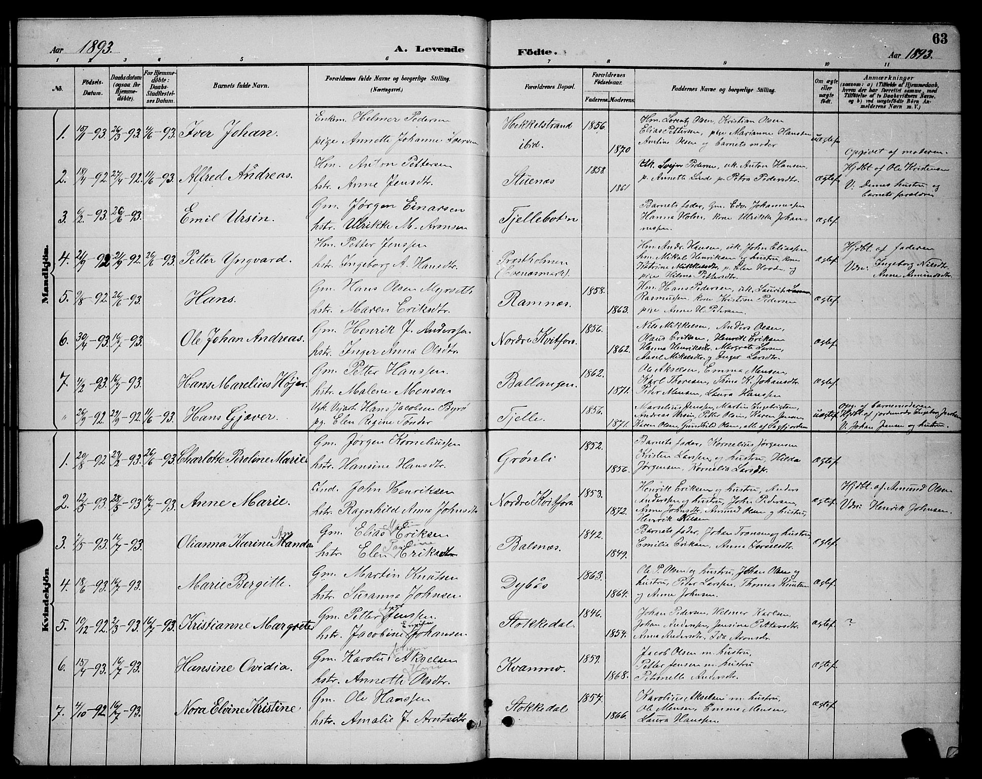Ministerialprotokoller, klokkerbøker og fødselsregistre - Nordland, SAT/A-1459/863/L0914: Parish register (copy) no. 863C04, 1886-1897, p. 63