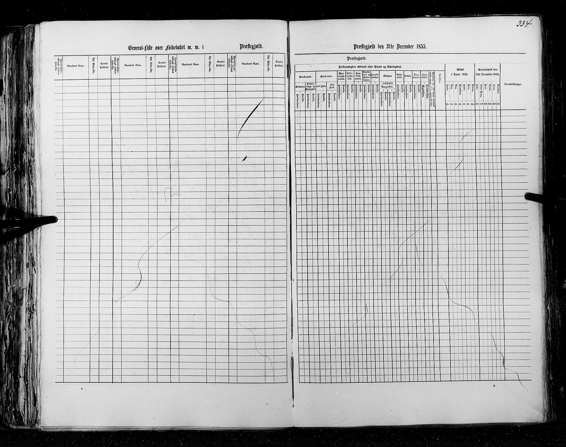 RA, Census 1855, vol. 5: Nordre Bergenhus amt, Romsdal amt og Søndre Trondhjem amt, 1855, p. 334