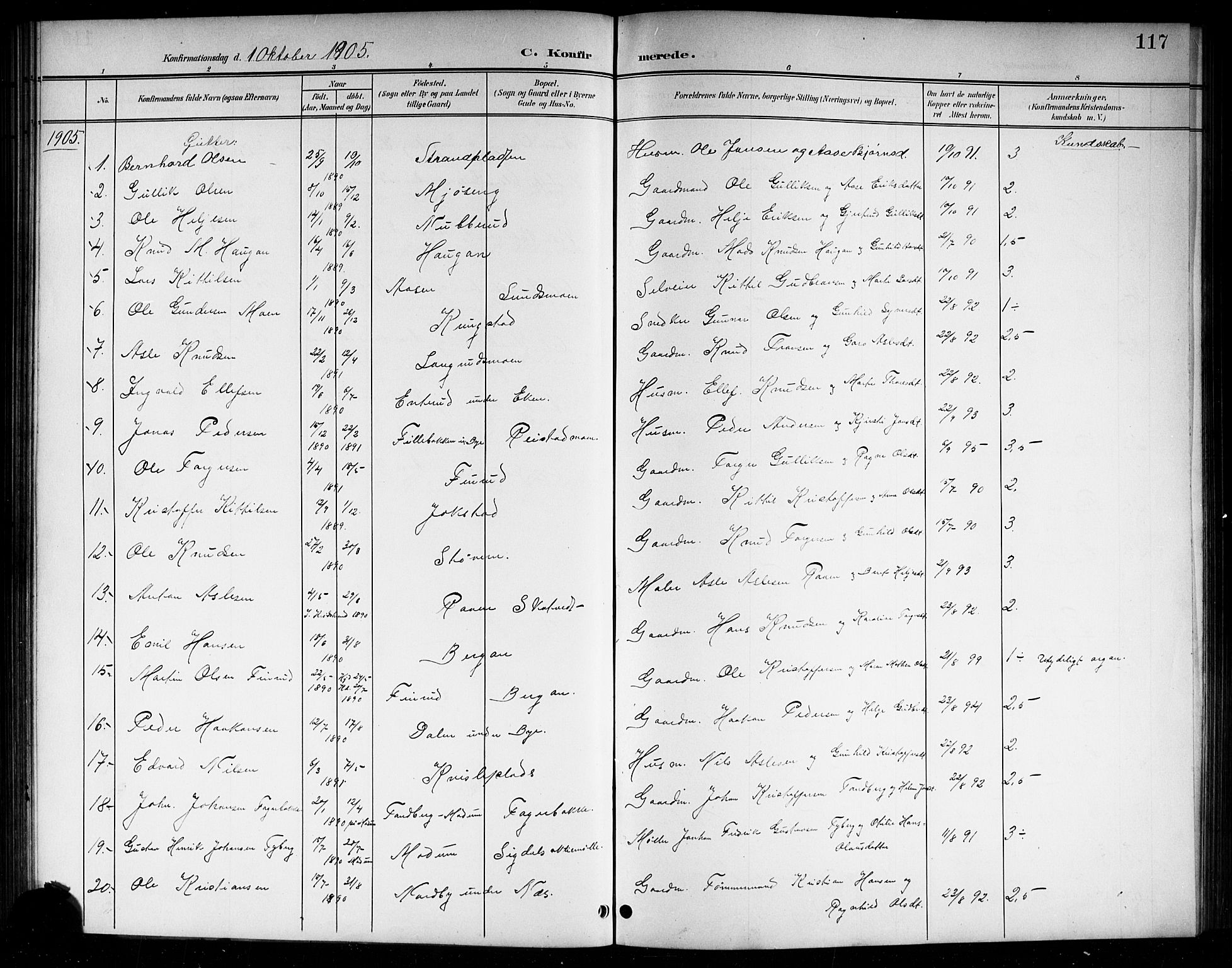 Sigdal kirkebøker, SAKO/A-245/G/Ga/L0006: Parish register (copy) no. I 6, 1901-1916, p. 117