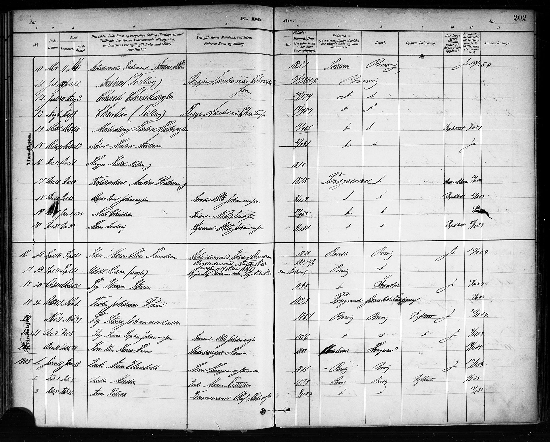 Brevik kirkebøker, AV/SAKO-A-255/F/Fa/L0007: Parish register (official) no. 7, 1882-1900, p. 202