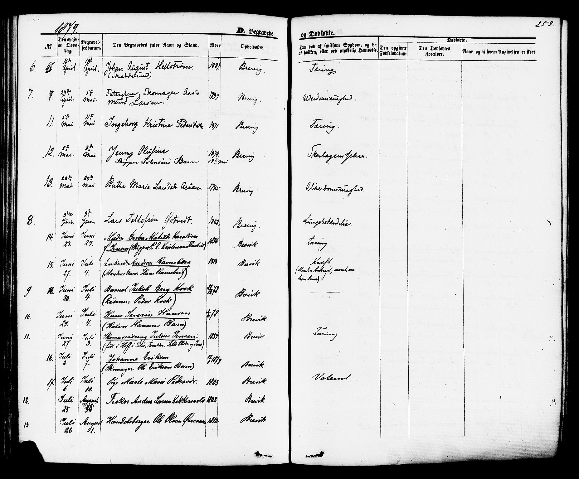 Brevik kirkebøker, SAKO/A-255/F/Fa/L0006: Parish register (official) no. 6, 1866-1881, p. 253