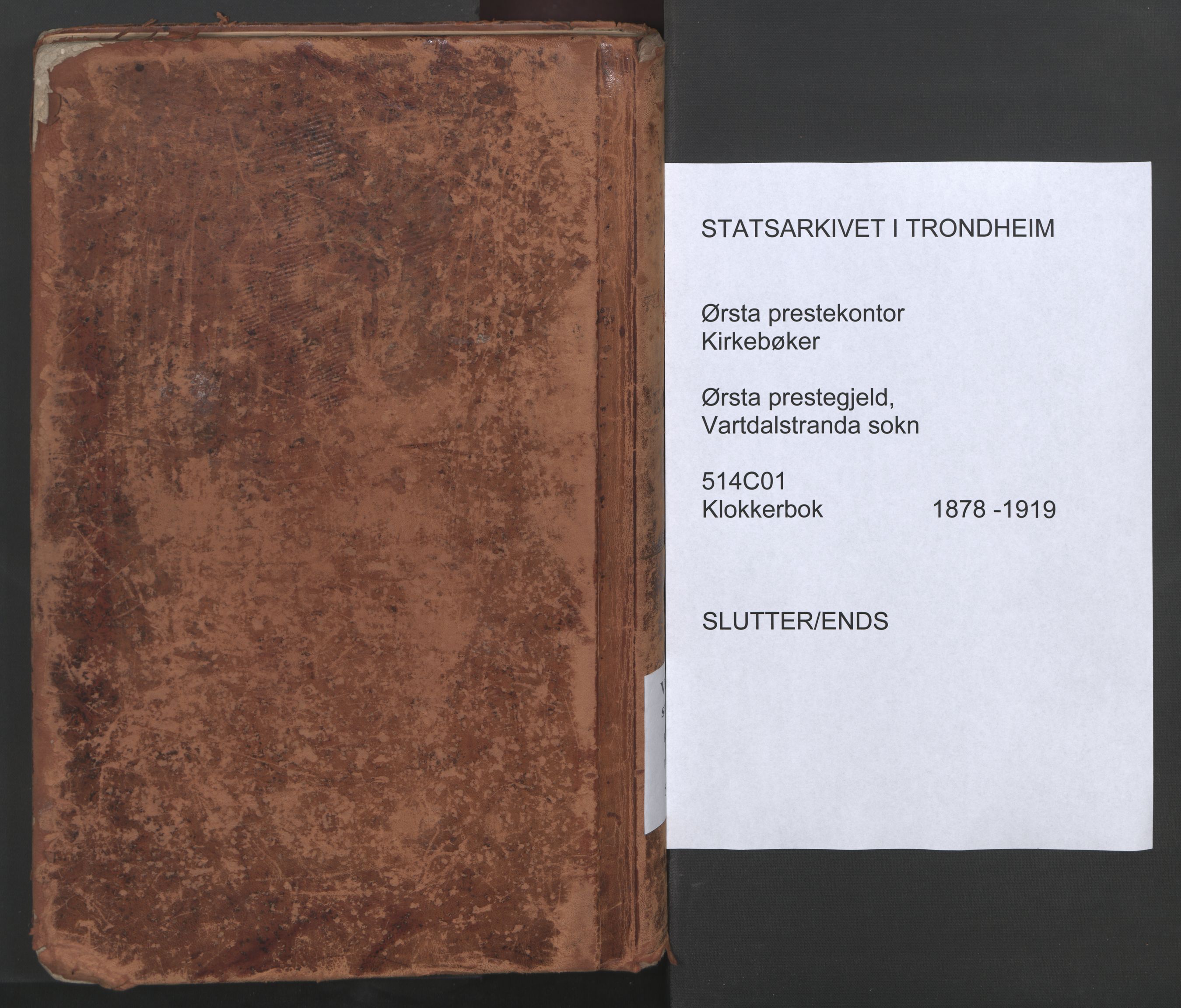 Ministerialprotokoller, klokkerbøker og fødselsregistre - Møre og Romsdal, SAT/A-1454/514/L0201: Parish register (copy) no. 514C01, 1878-1919