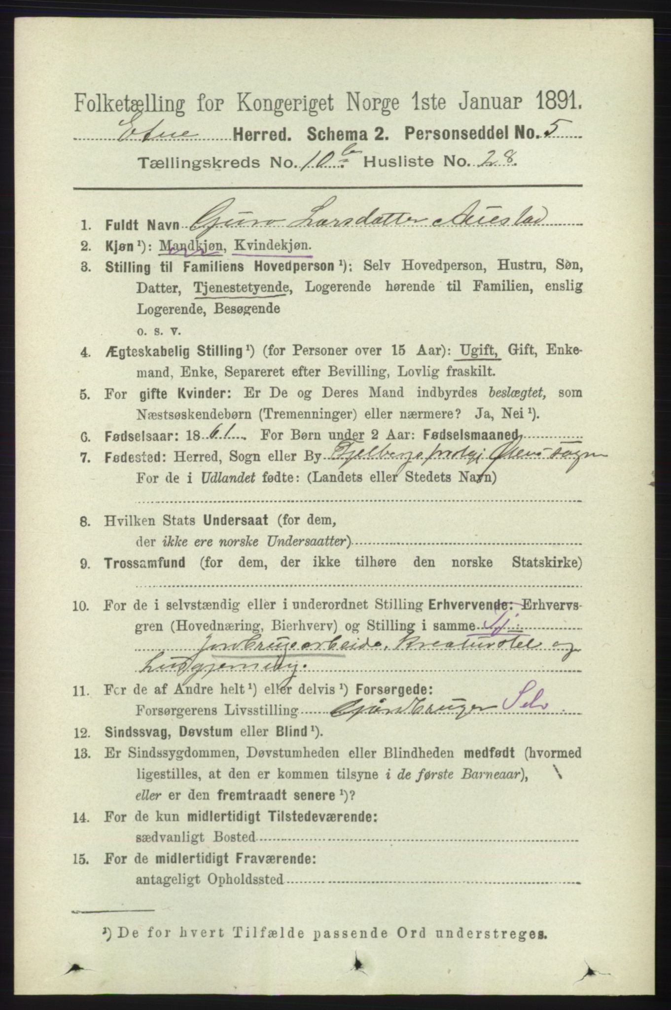 RA, 1891 census for 1211 Etne, 1891, p. 2111