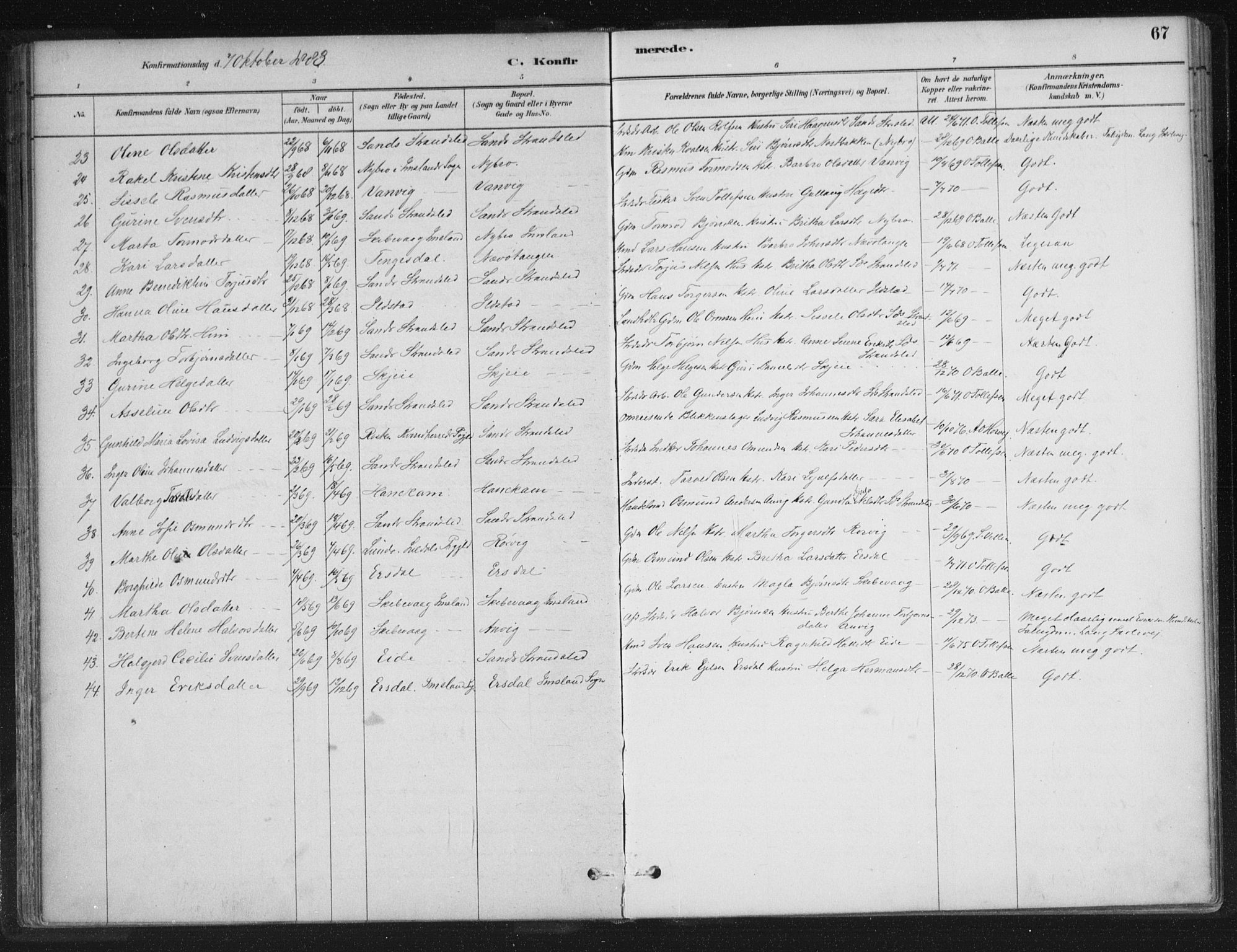 Sand sokneprestkontor, AV/SAST-A-101848/01/III/L0005: Parish register (official) no. A 5, 1880-1898, p. 67