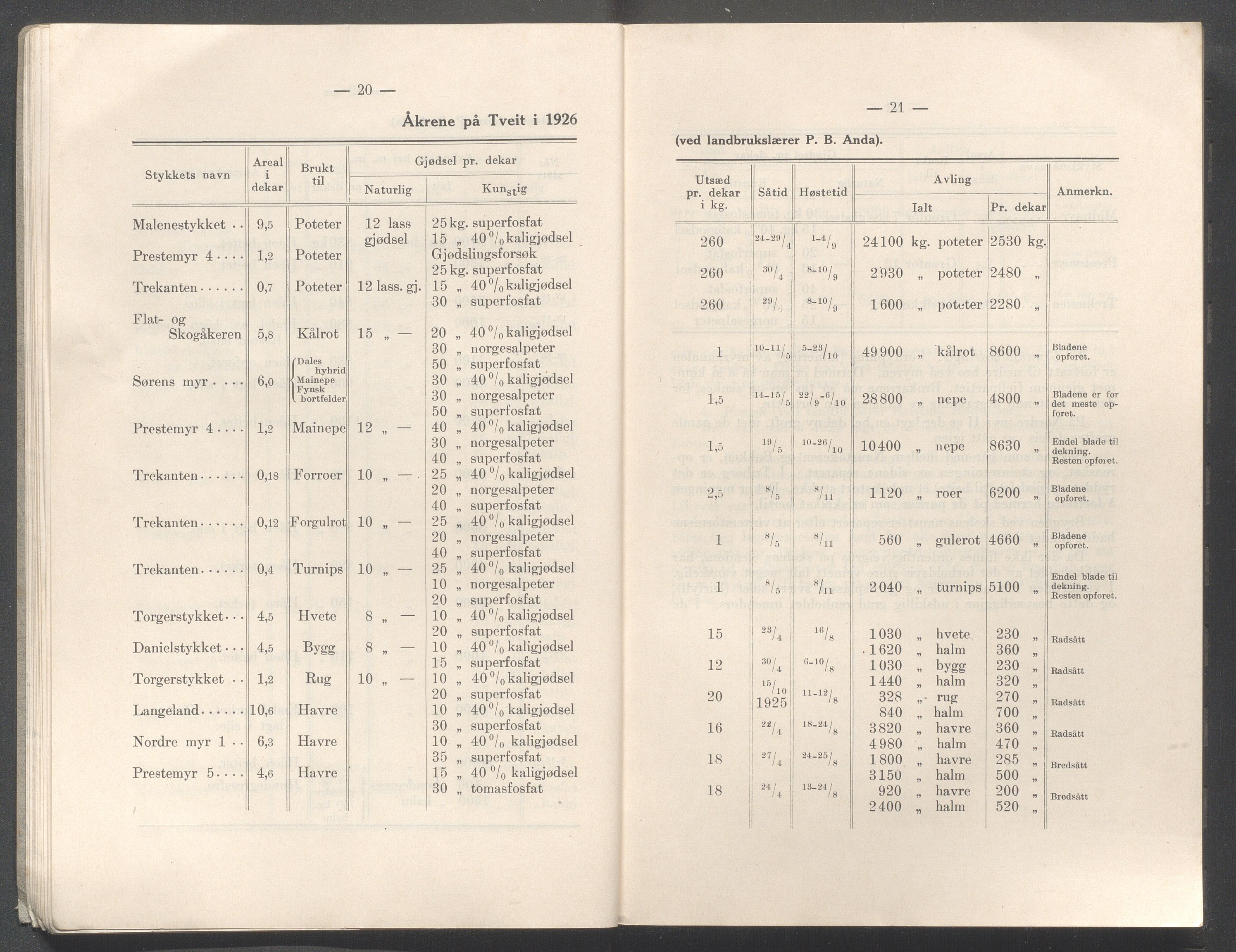 Rogaland fylkeskommune - Fylkesrådmannen , IKAR/A-900/A/Aa/Aaa/L0047: Møtebok , 1928, p. 20-21