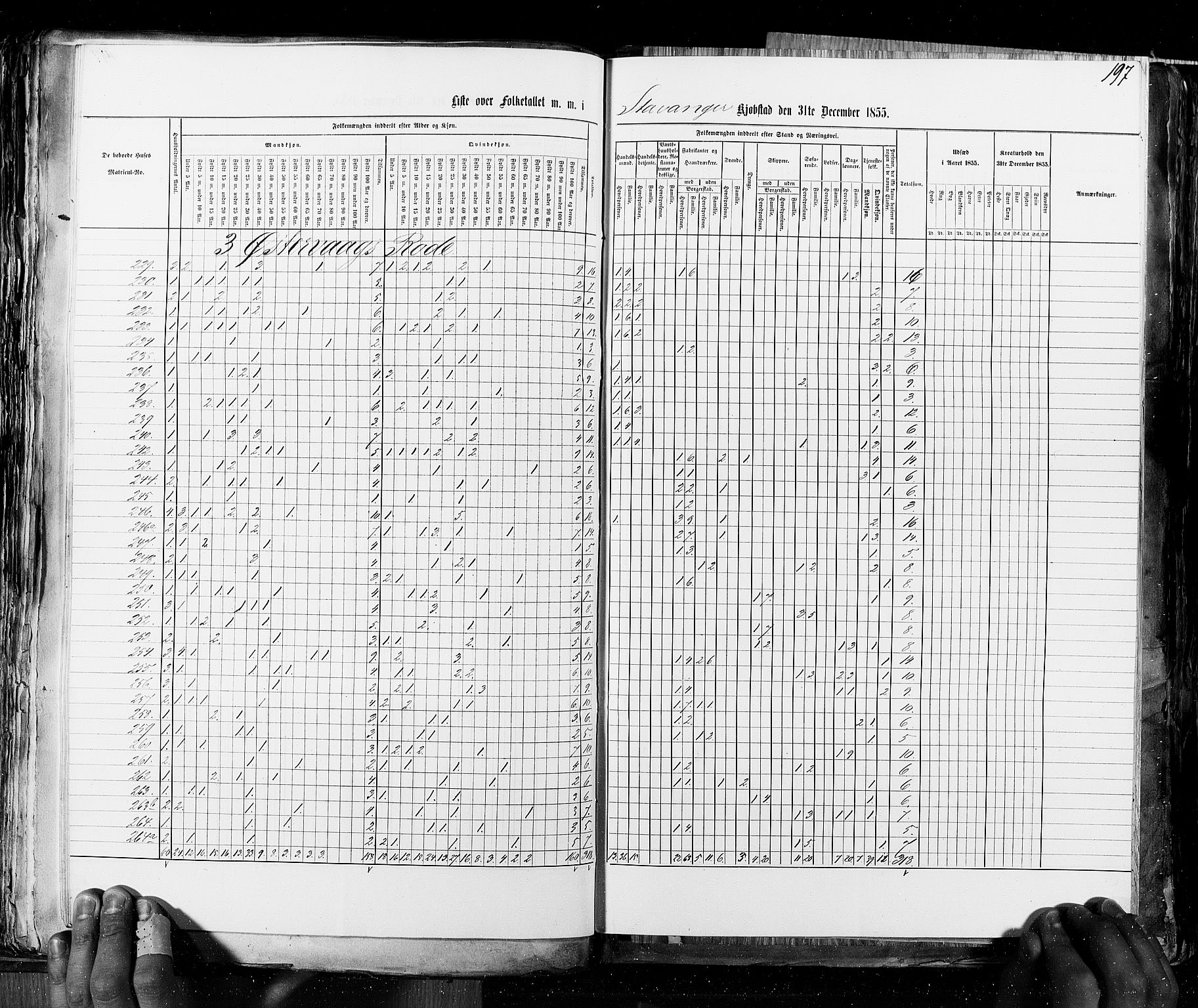 RA, Census 1855, vol. 8: Risør-Vadsø, 1855, p. 197