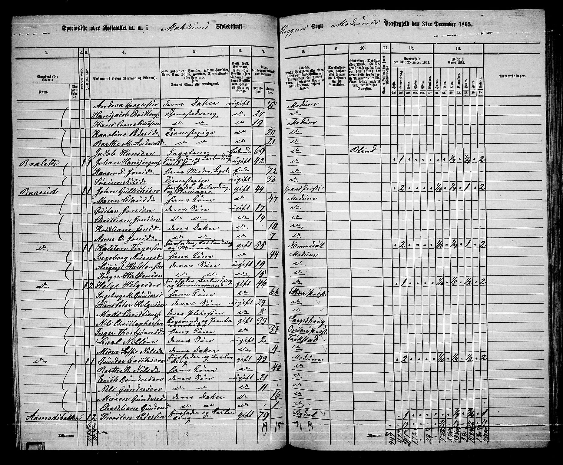 RA, 1865 census for Modum, 1865, p. 84