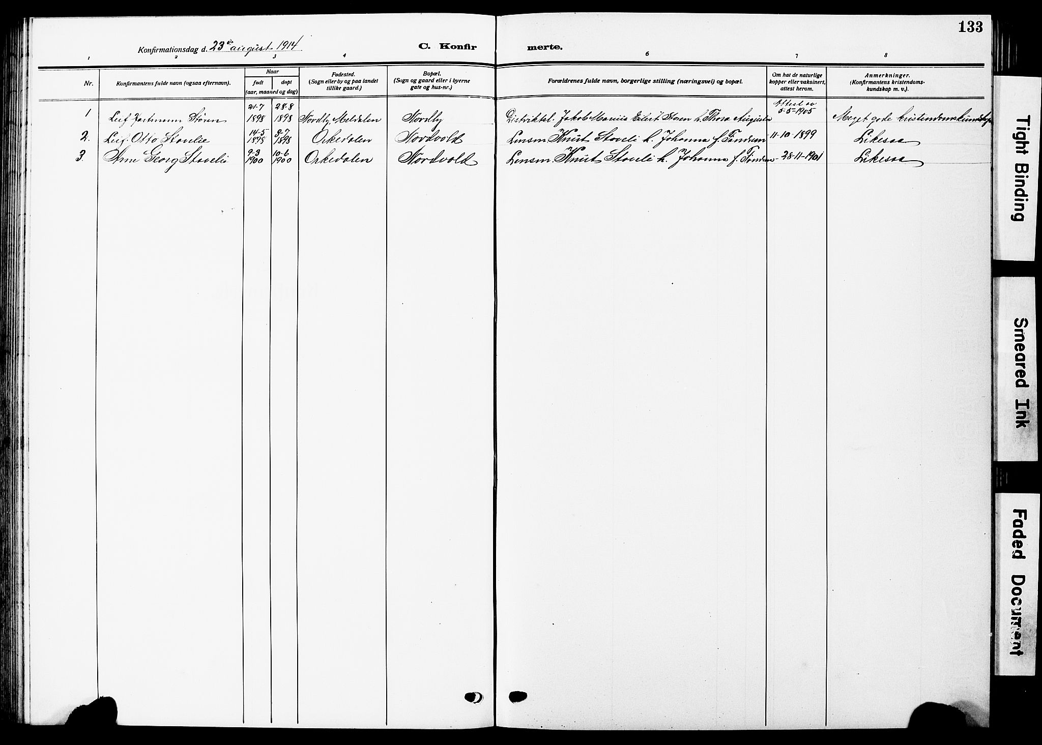 Ministerialprotokoller, klokkerbøker og fødselsregistre - Sør-Trøndelag, SAT/A-1456/672/L0865: Parish register (copy) no. 672C04, 1914-1928, p. 133