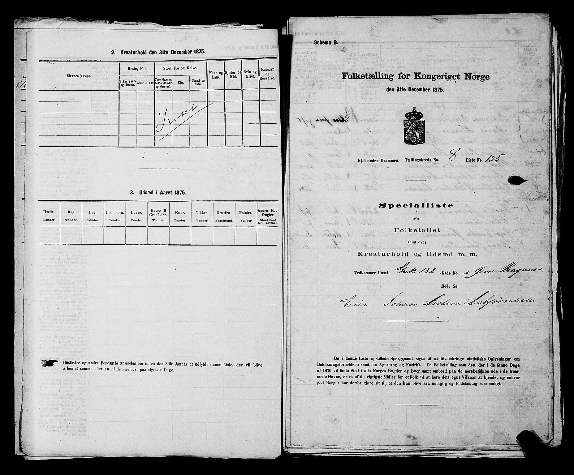 SAKO, 1875 census for 0602 Drammen, 1875, p. 678