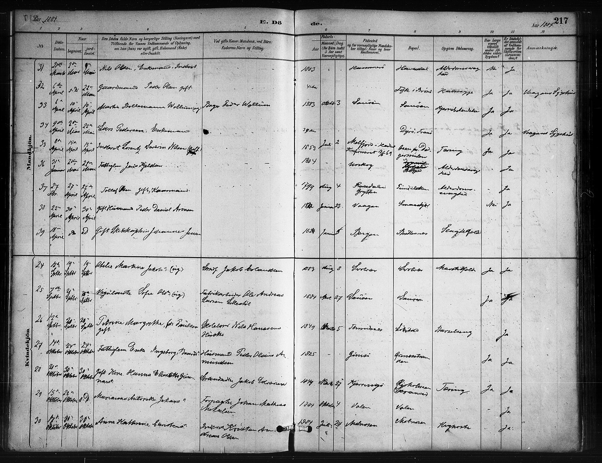 Ministerialprotokoller, klokkerbøker og fødselsregistre - Nordland, AV/SAT-A-1459/874/L1059: Parish register (official) no. 874A03, 1884-1890, p. 217