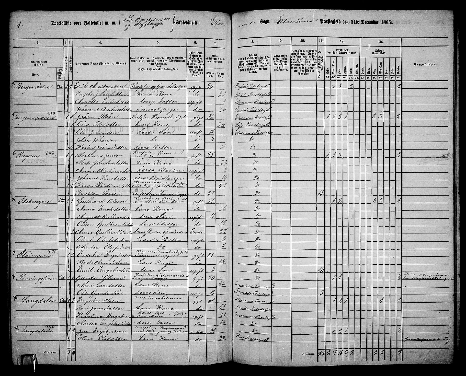 RA, 1865 census for Elverum, 1865, p. 206