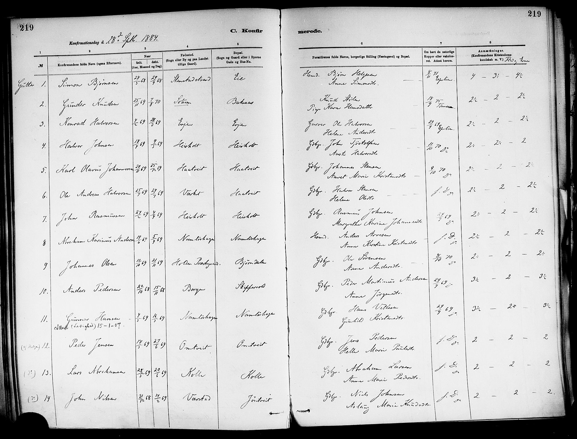 Holla kirkebøker, AV/SAKO-A-272/F/Fa/L0008: Parish register (official) no. 8, 1882-1897, p. 219