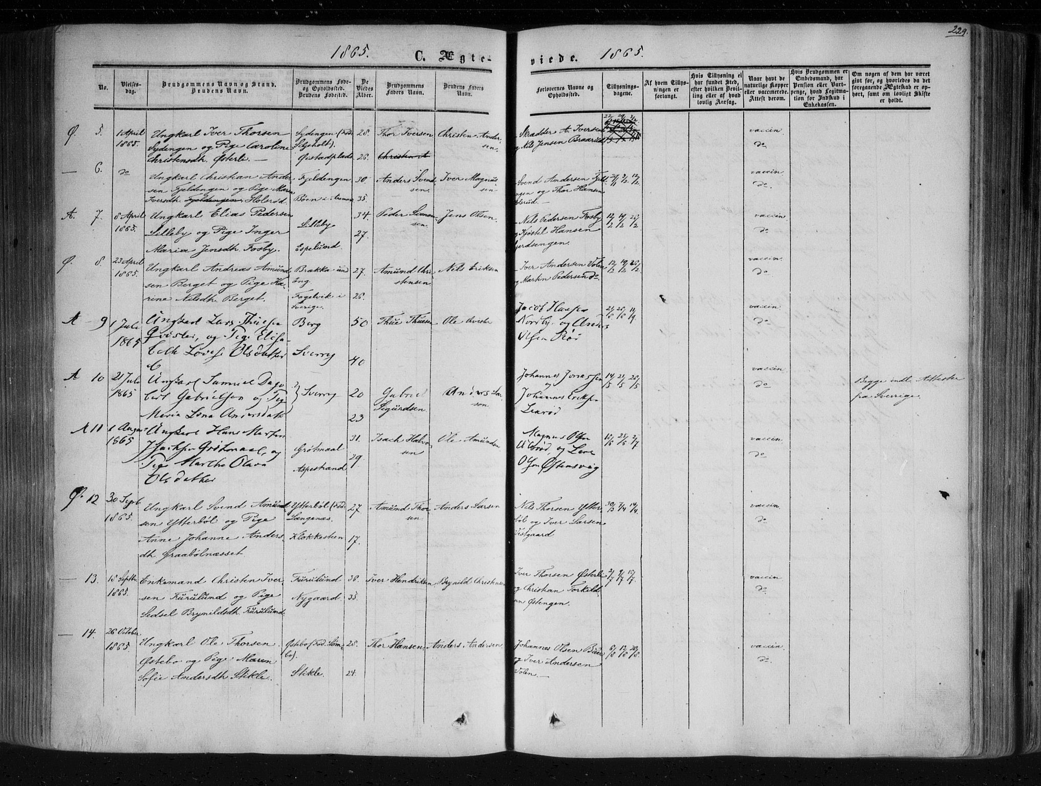 Aremark prestekontor Kirkebøker, SAO/A-10899/F/Fc/L0003: Parish register (official) no. III 3, 1850-1865, p. 229