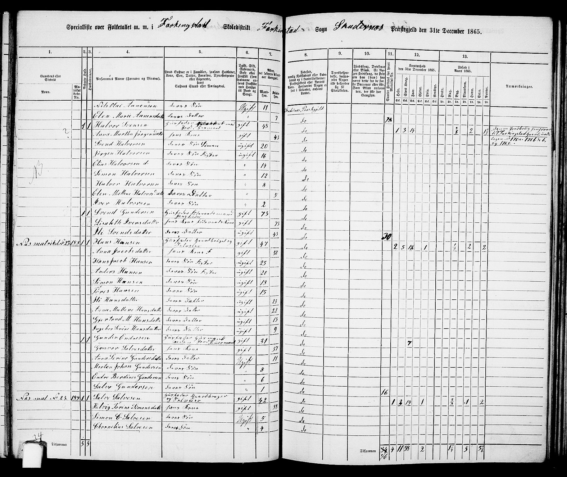 RA, 1865 census for Skudenes, 1865, p. 101