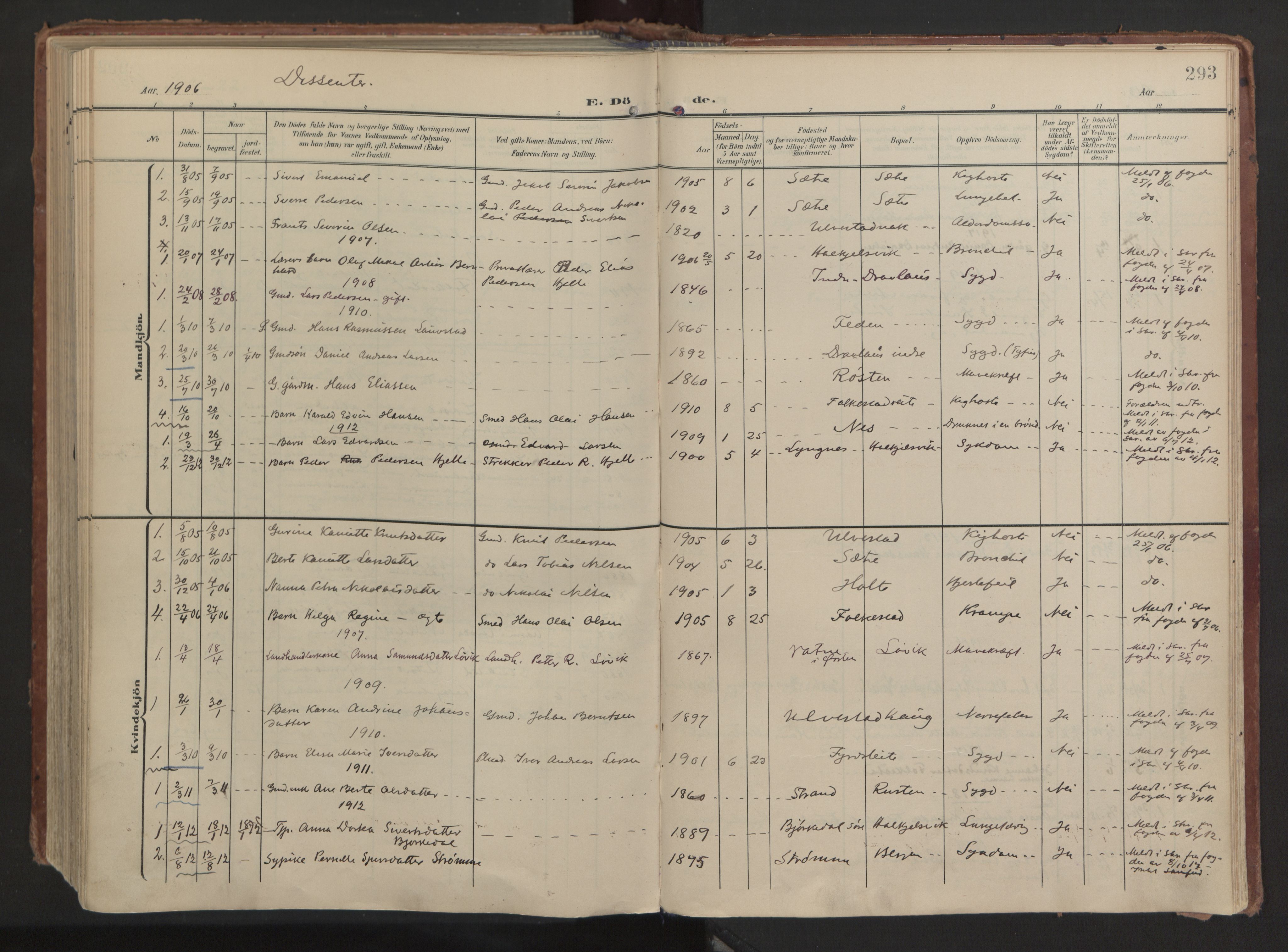 Ministerialprotokoller, klokkerbøker og fødselsregistre - Møre og Romsdal, AV/SAT-A-1454/511/L0144: Parish register (official) no. 511A11, 1906-1923, p. 293