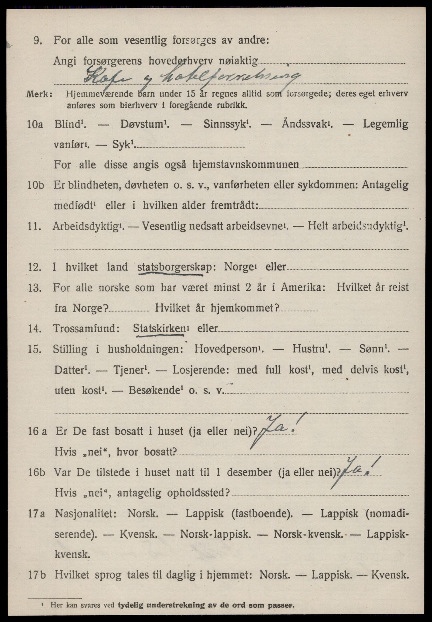 SAT, 1920 census for Hemne, 1920, p. 5197