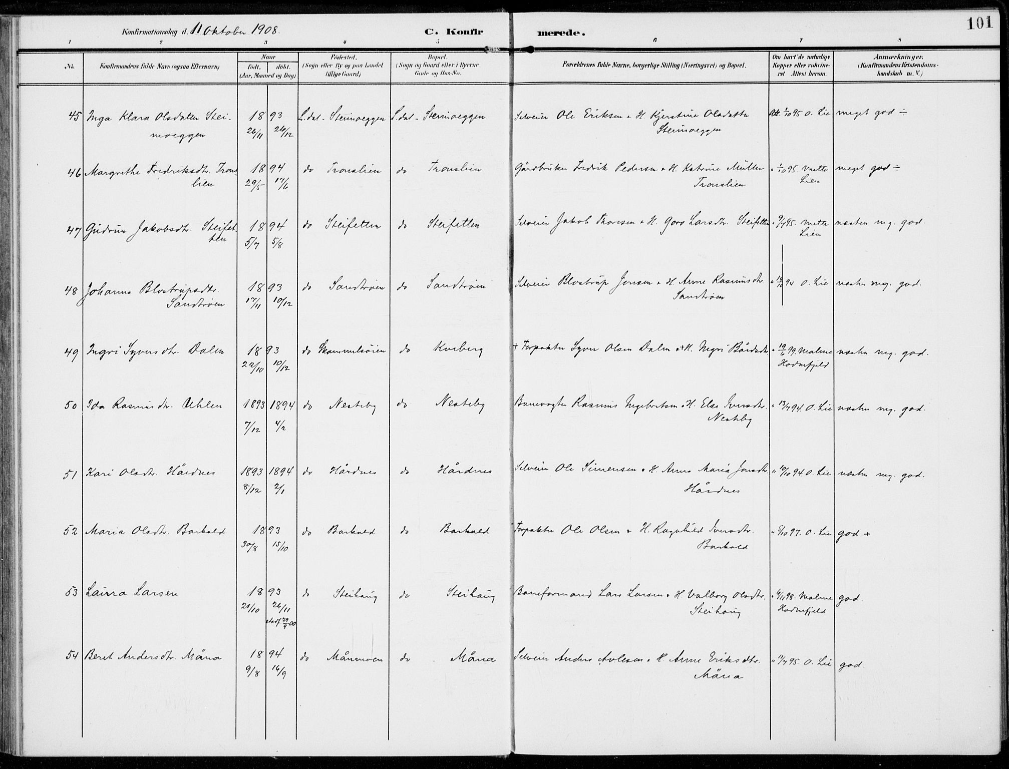 Alvdal prestekontor, AV/SAH-PREST-060/H/Ha/Haa/L0004: Parish register (official) no. 4, 1907-1919, p. 101