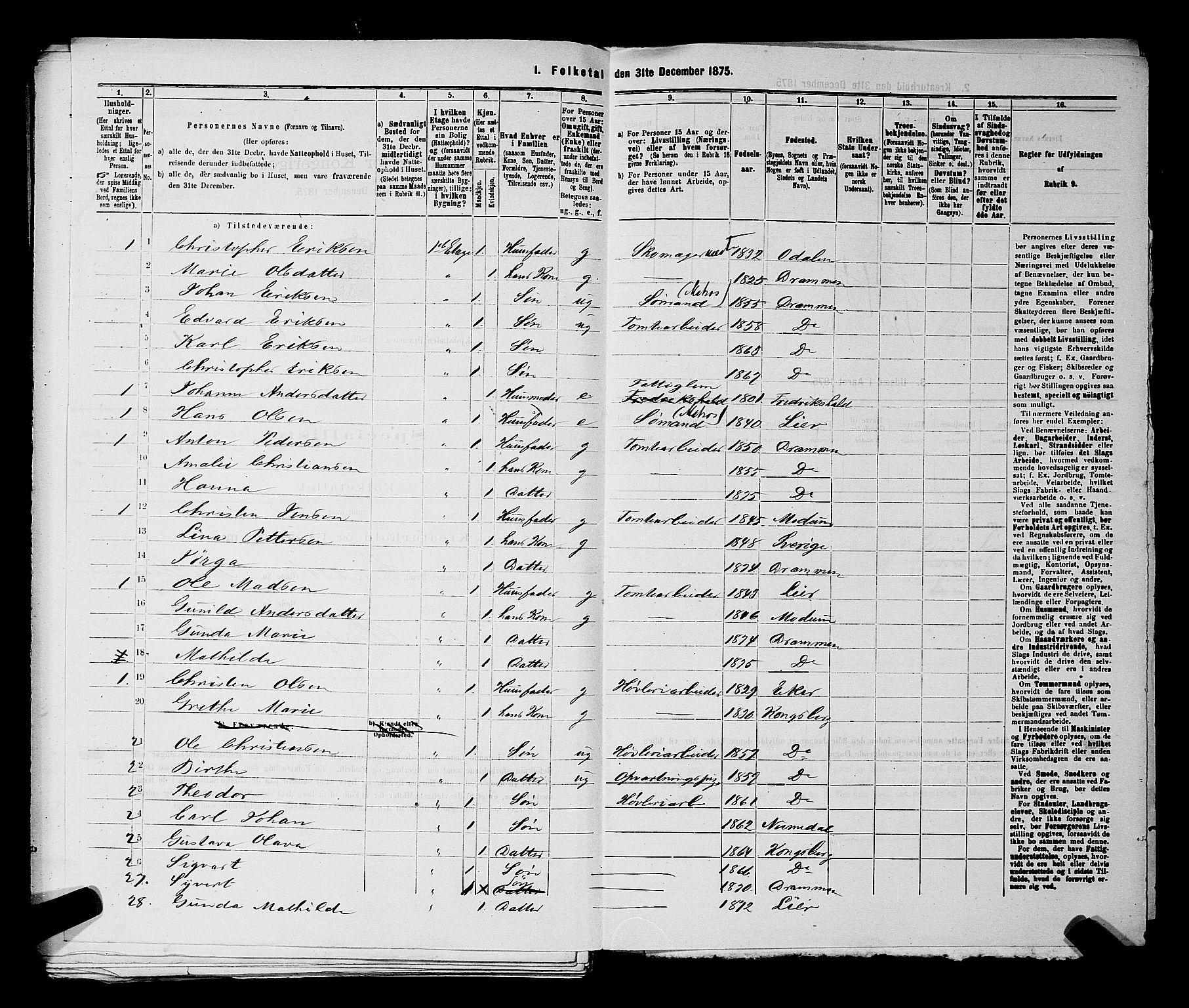 SAKO, 1875 census for 0602 Drammen, 1875, p. 2077