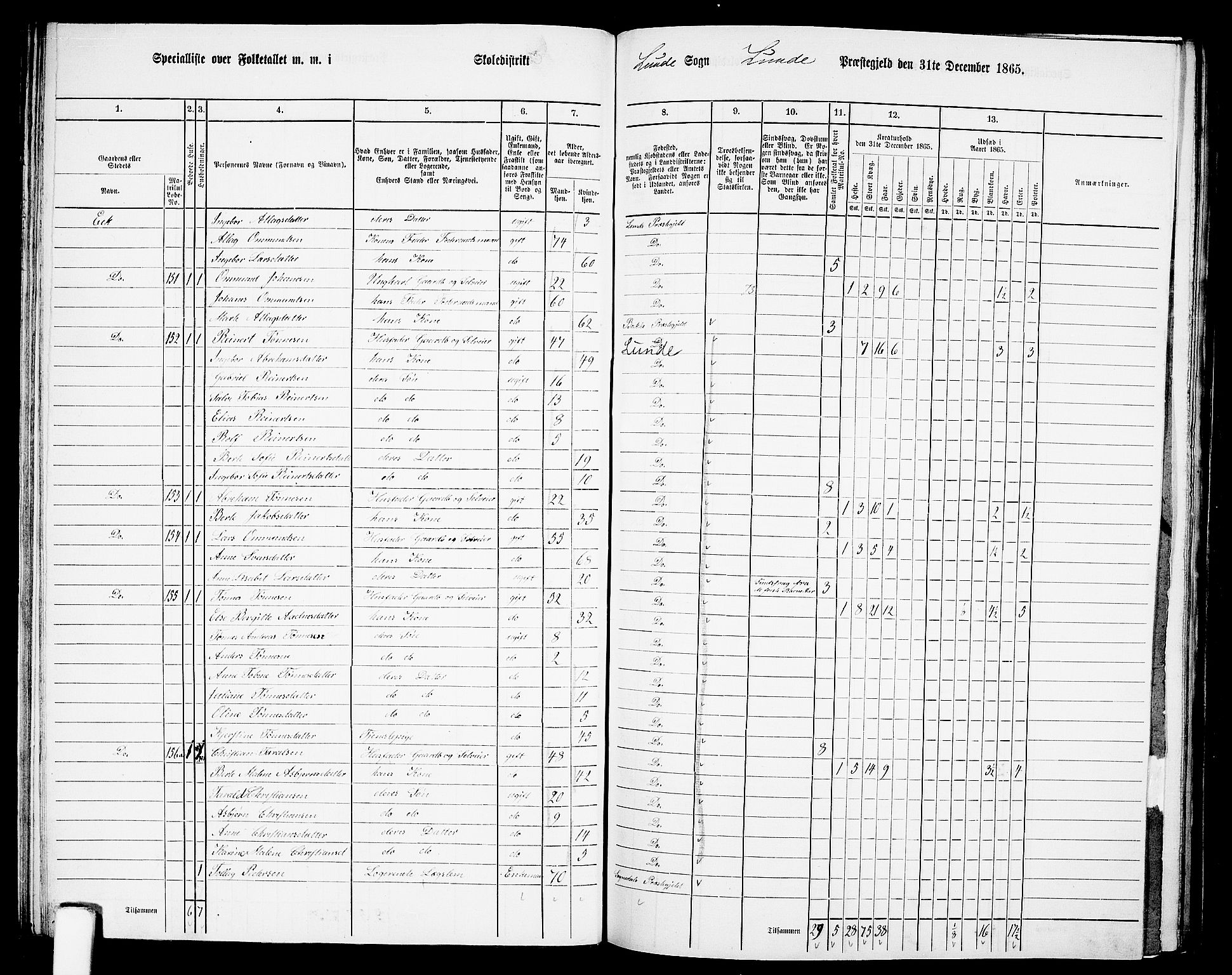 RA, 1865 census for Lund, 1865, p. 55