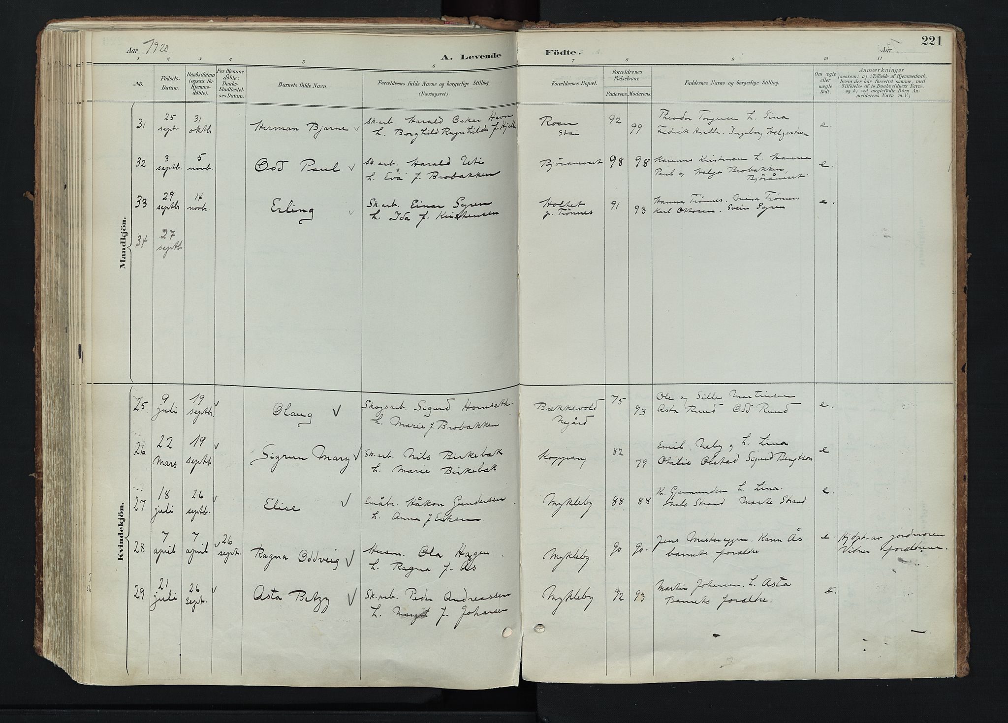 Stor-Elvdal prestekontor, AV/SAH-PREST-052/H/Ha/Haa/L0004: Parish register (official) no. 4, 1890-1922, p. 221