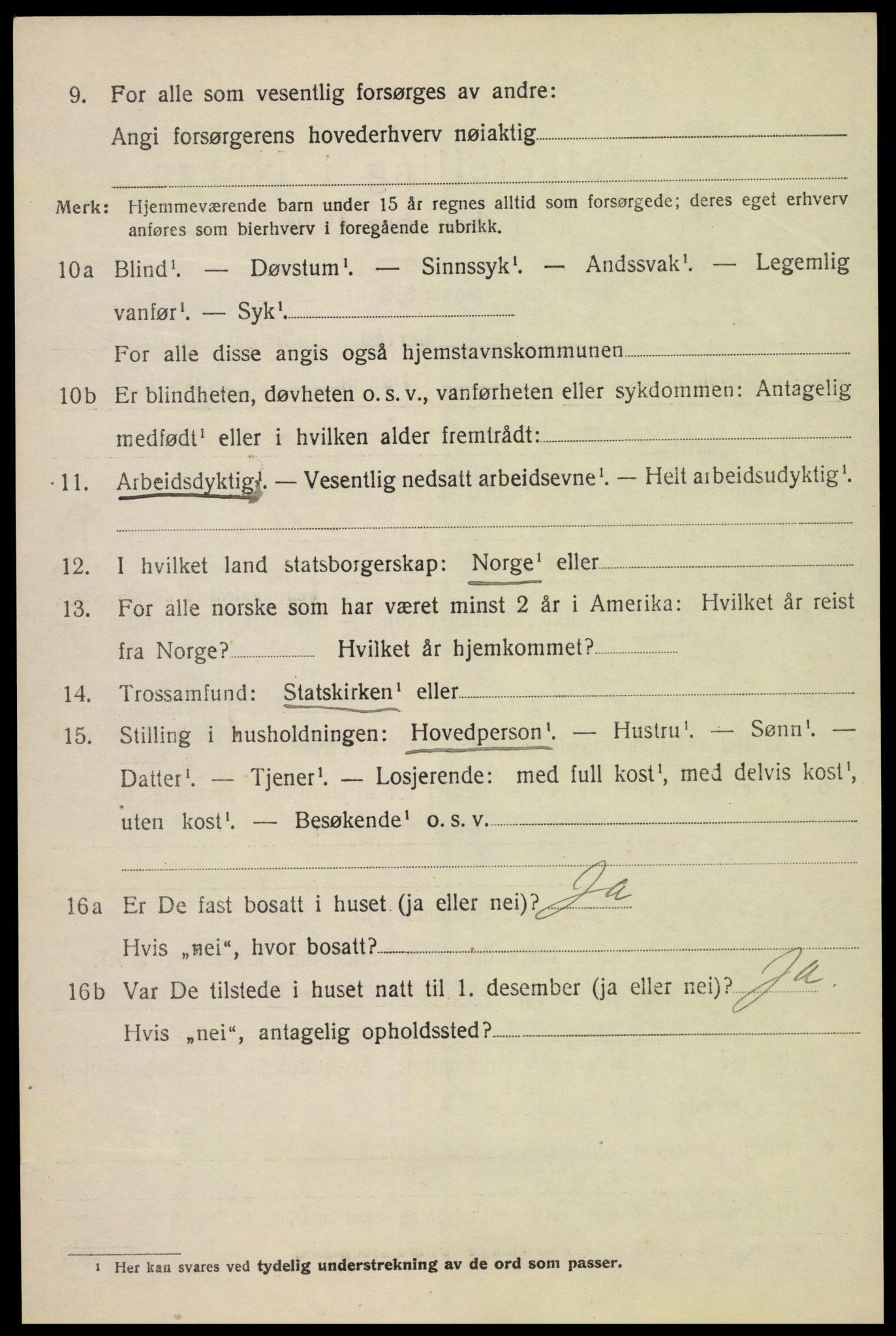 SAH, 1920 census for Vang (Hedmark), 1920, p. 15022