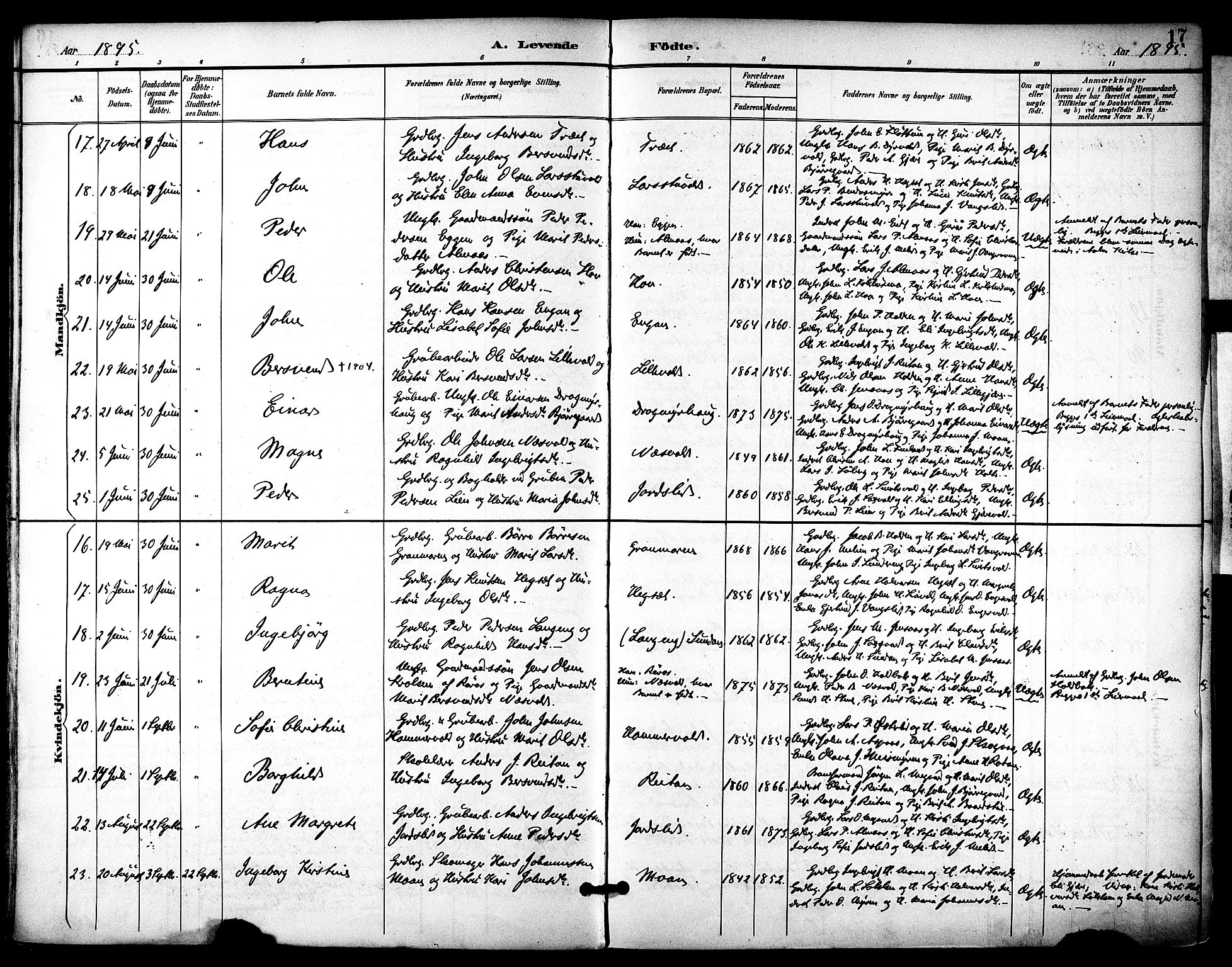 Ministerialprotokoller, klokkerbøker og fødselsregistre - Sør-Trøndelag, AV/SAT-A-1456/686/L0984: Parish register (official) no. 686A02, 1891-1906, p. 17