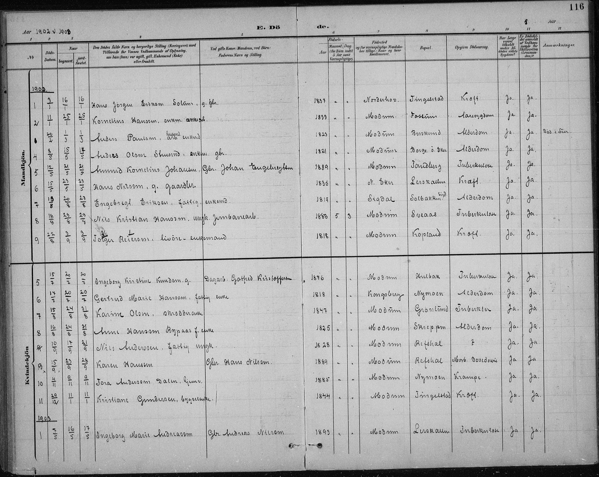Modum kirkebøker, AV/SAKO-A-234/F/Fa/L0017: Parish register (official) no. 17, 1900-1915, p. 116