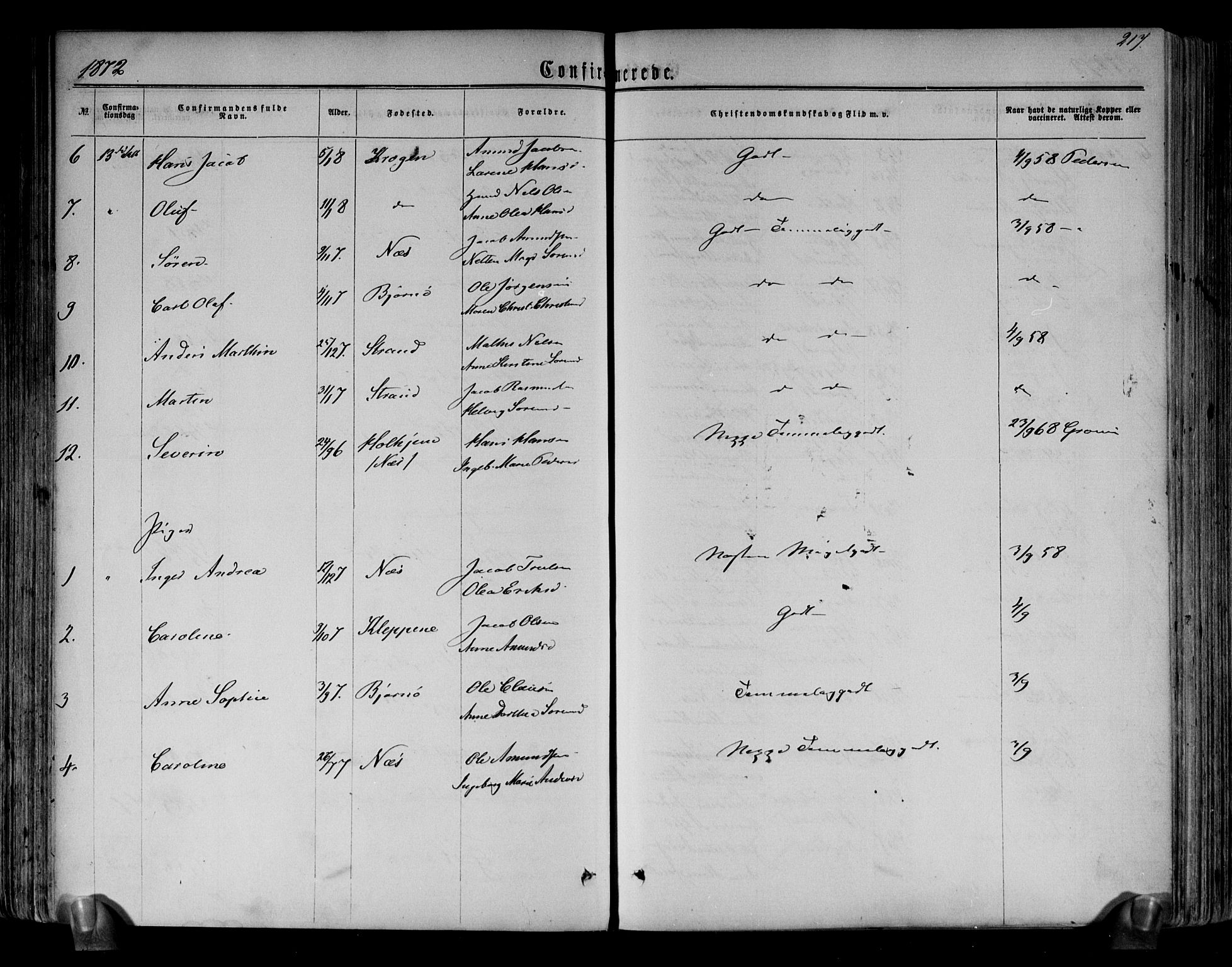 Brunlanes kirkebøker, AV/SAKO-A-342/F/Fa/L0005: Parish register (official) no. I 5, 1862-1877, p. 217