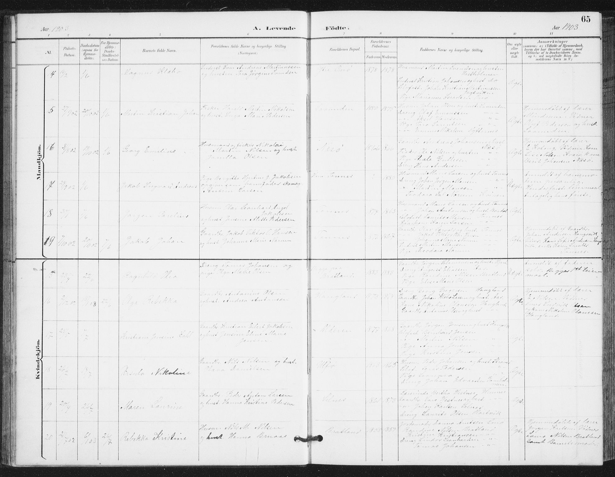 Ministerialprotokoller, klokkerbøker og fødselsregistre - Nordland, AV/SAT-A-1459/839/L0573: Parish register (copy) no. 839C03, 1892-1917, p. 65