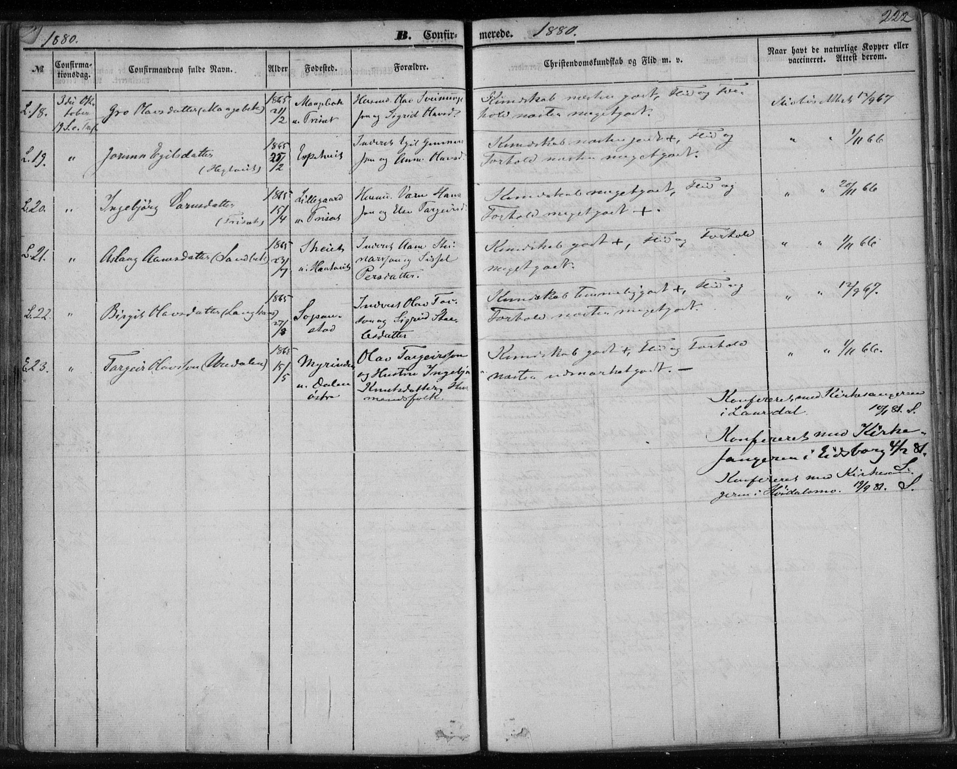 Lårdal kirkebøker, SAKO/A-284/F/Fa/L0006: Parish register (official) no. I 6, 1861-1886, p. 222