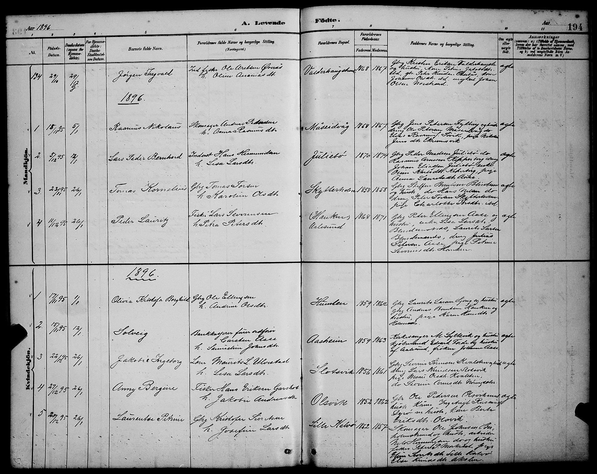 Ministerialprotokoller, klokkerbøker og fødselsregistre - Møre og Romsdal, AV/SAT-A-1454/528/L0431: Parish register (copy) no. 528C12, 1885-1898, p. 194